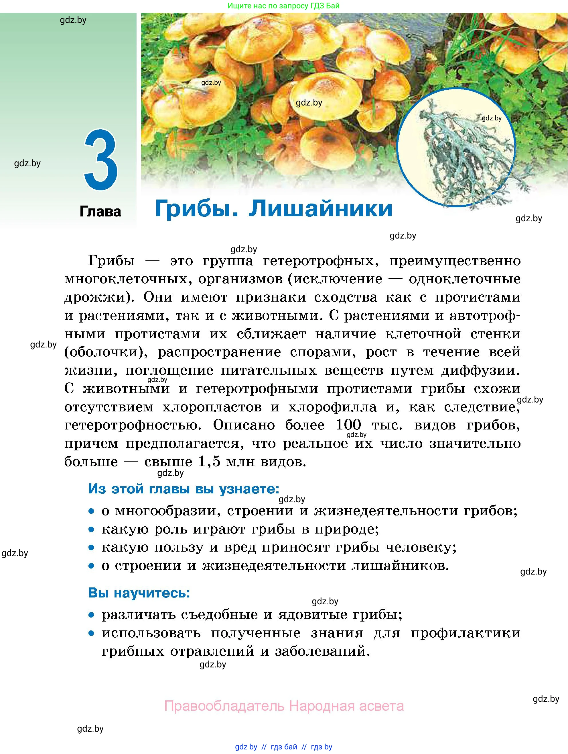 Биология, 7 класс Учебник, автор: Лисов Николай Дмитриевич, издательство Народная асвета, Минск, 2022, зелёного цвета, страница 50