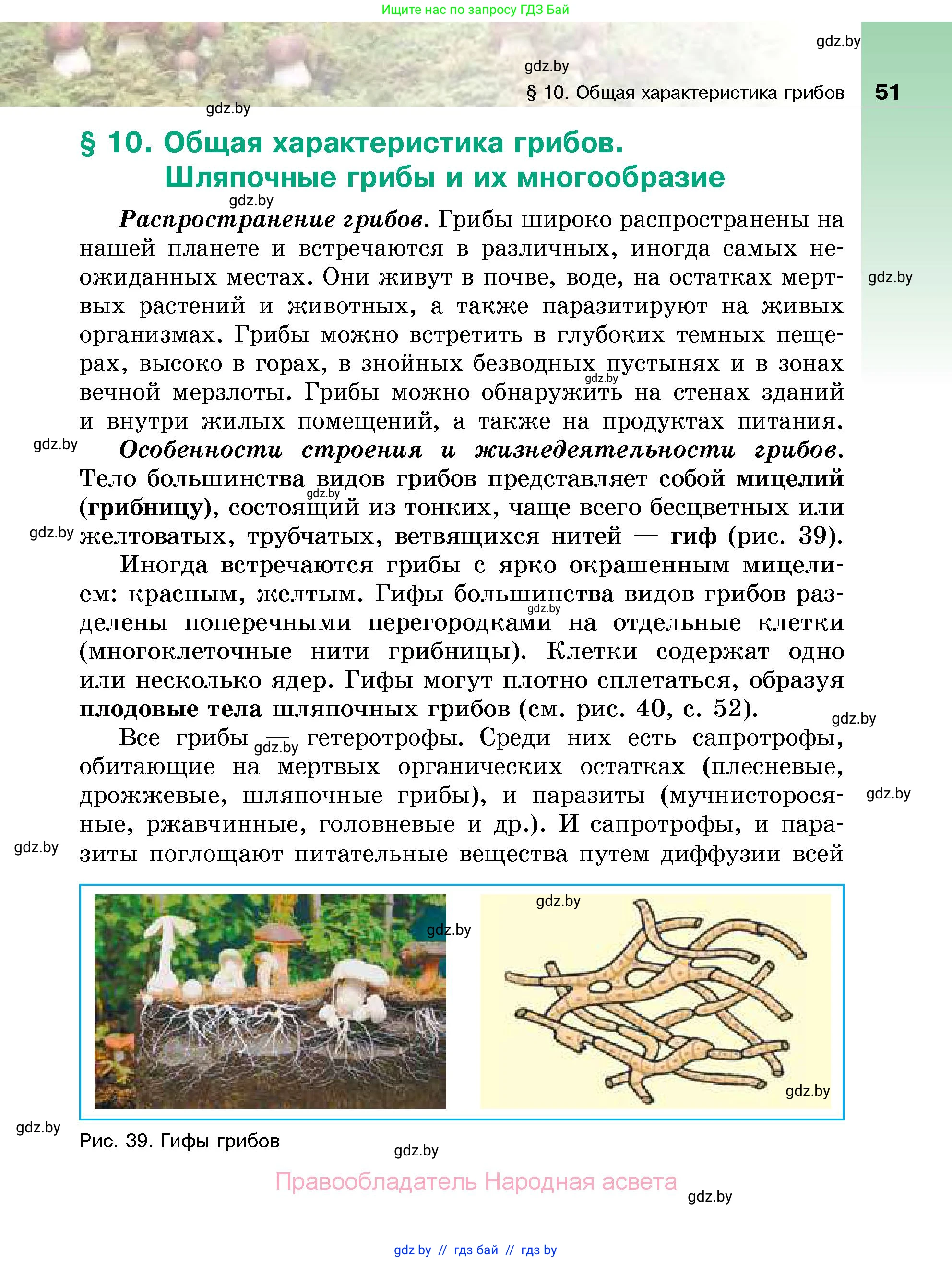 Биология, 7 класс Учебник, автор: Лисов Николай Дмитриевич, издательство Народная асвета, Минск, 2022, зелёного цвета, страница 51