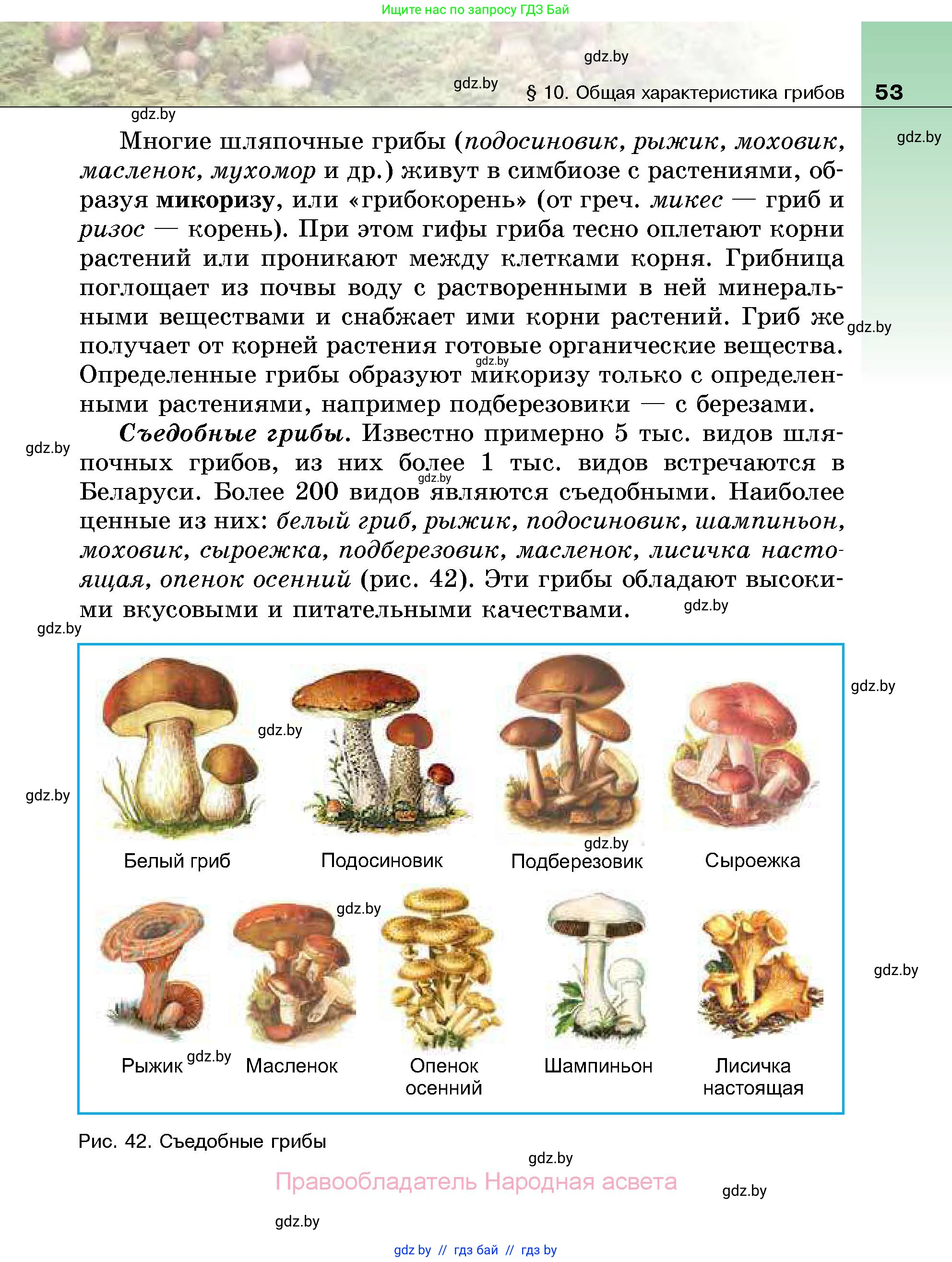 Биология, 7 класс Учебник, автор: Лисов Николай Дмитриевич, издательство Народная асвета, Минск, 2022, зелёного цвета, страница 53