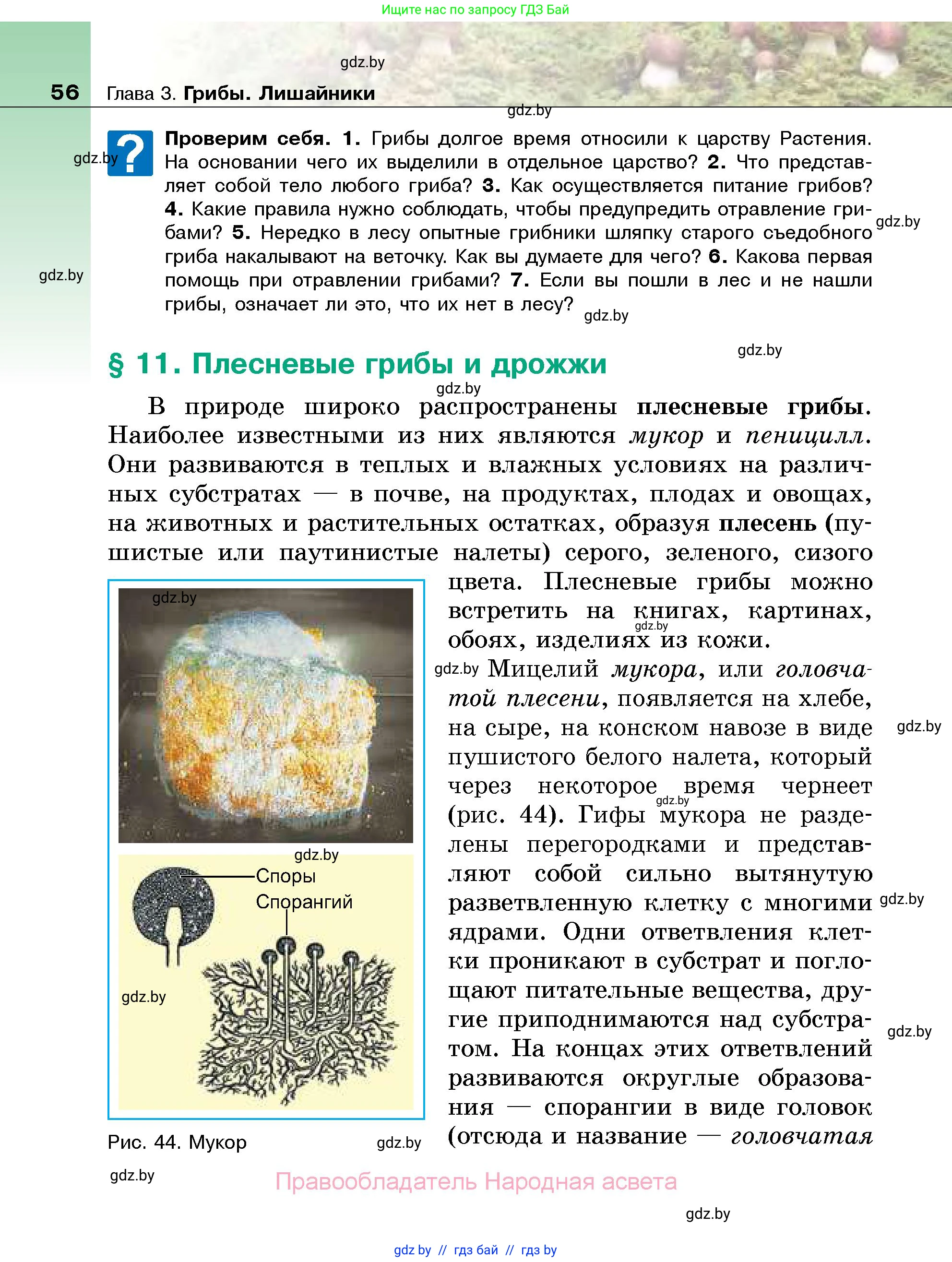 Биология, 7 класс Учебник, автор: Лисов Николай Дмитриевич, издательство Народная асвета, Минск, 2022, зелёного цвета, страница 56
