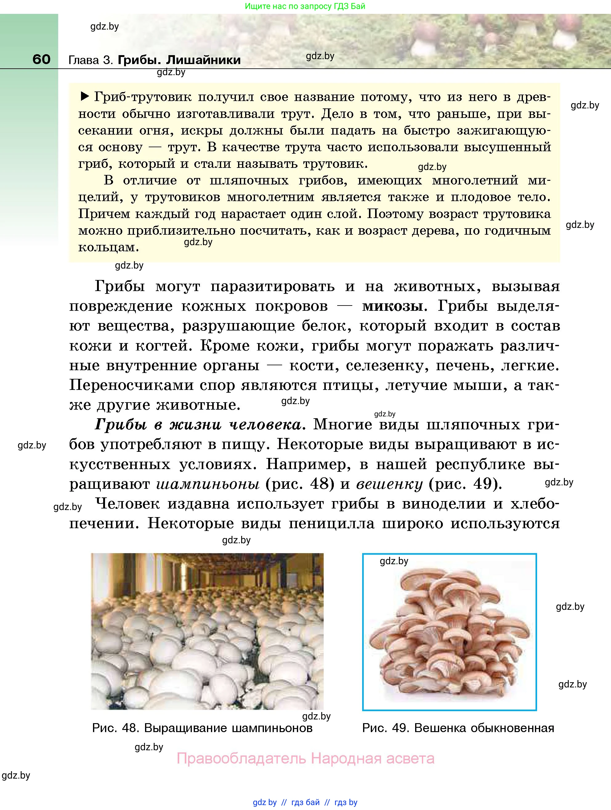 Биология, 7 класс Учебник, автор: Лисов Николай Дмитриевич, издательство Народная асвета, Минск, 2022, зелёного цвета, страница 60