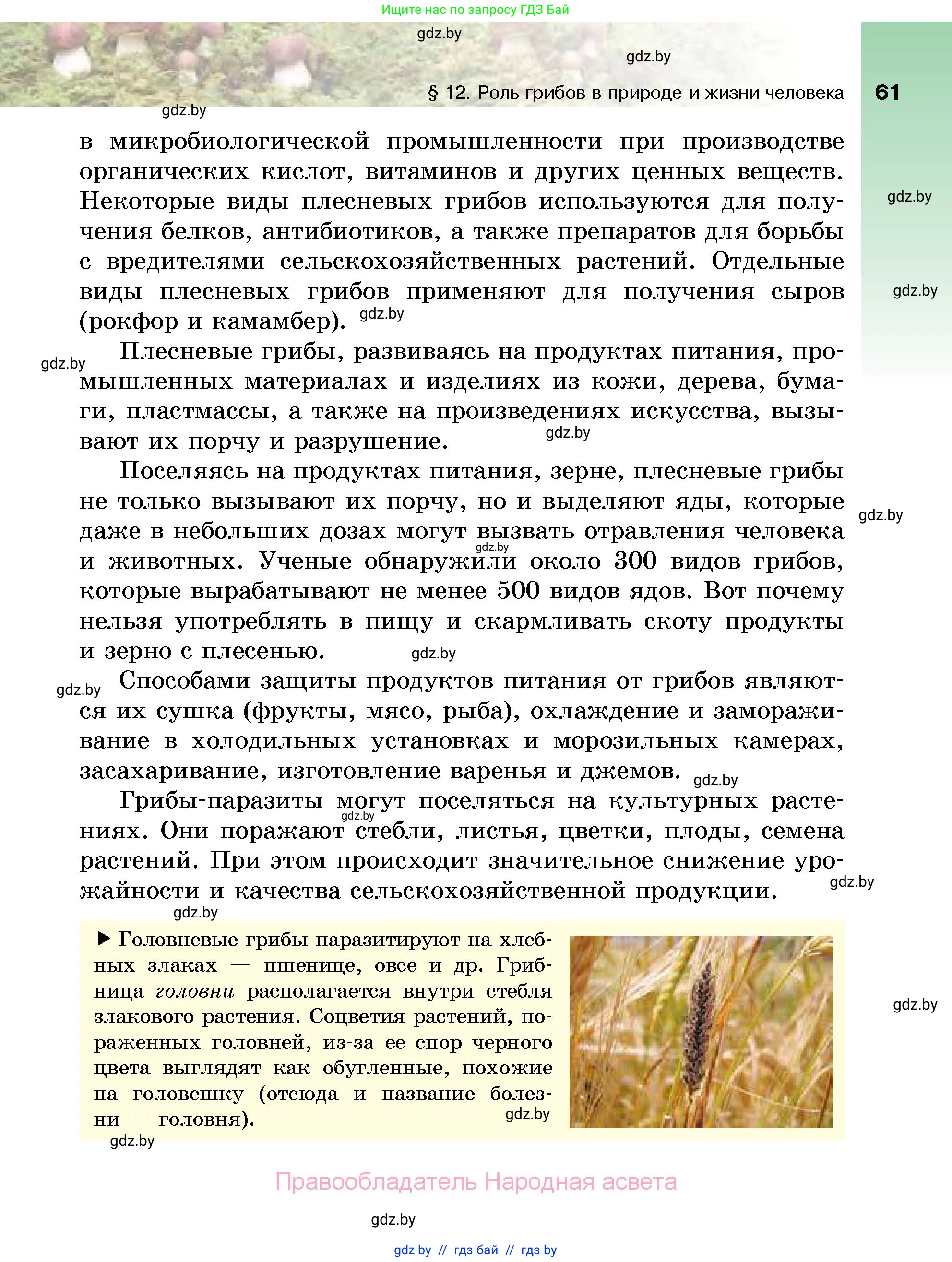 Биология, 7 класс Учебник, автор: Лисов Николай Дмитриевич, издательство Народная асвета, Минск, 2022, зелёного цвета, страница 61