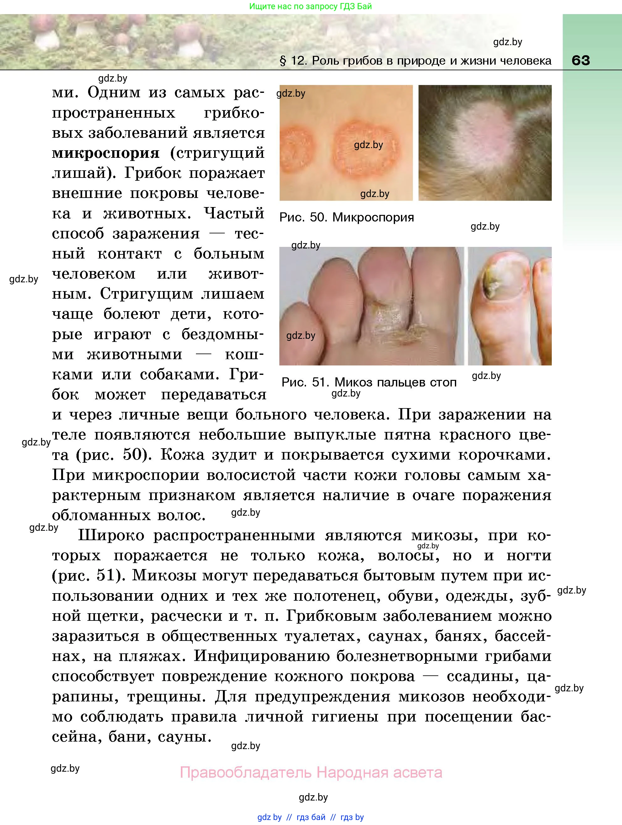 Биология, 7 класс Учебник, автор: Лисов Николай Дмитриевич, издательство Народная асвета, Минск, 2022, зелёного цвета, страница 63