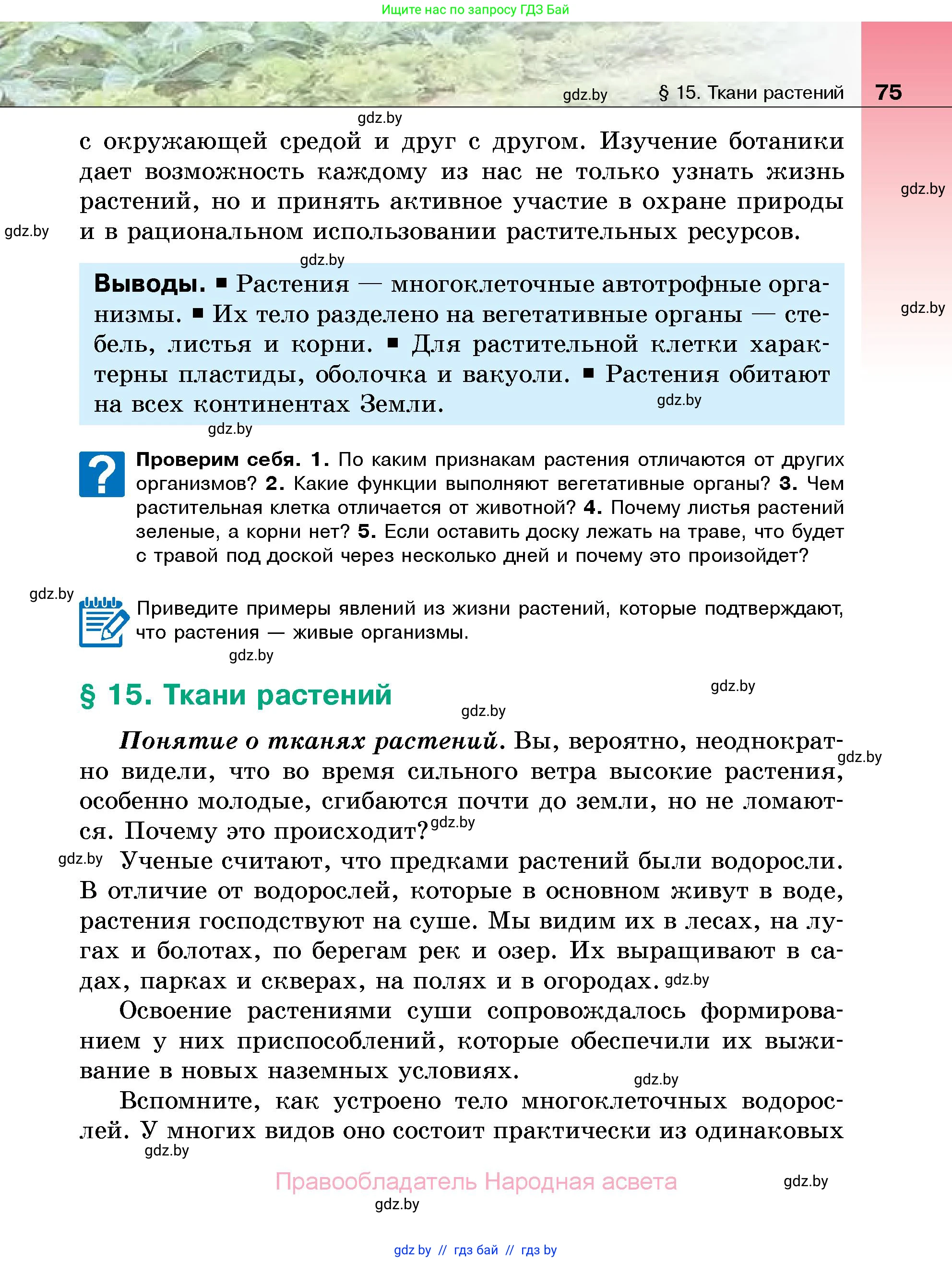 Биология, 7 класс Учебник, автор: Лисов Николай Дмитриевич, издательство Народная асвета, Минск, 2022, зелёного цвета, страница 75