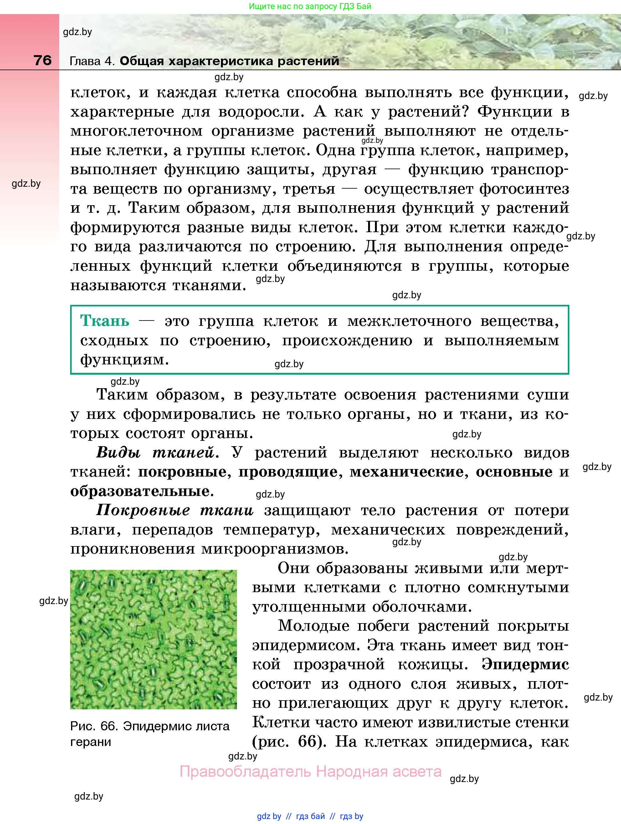 Биология, 7 класс Учебник, автор: Лисов Николай Дмитриевич, издательство Народная асвета, Минск, 2022, зелёного цвета, страница 76