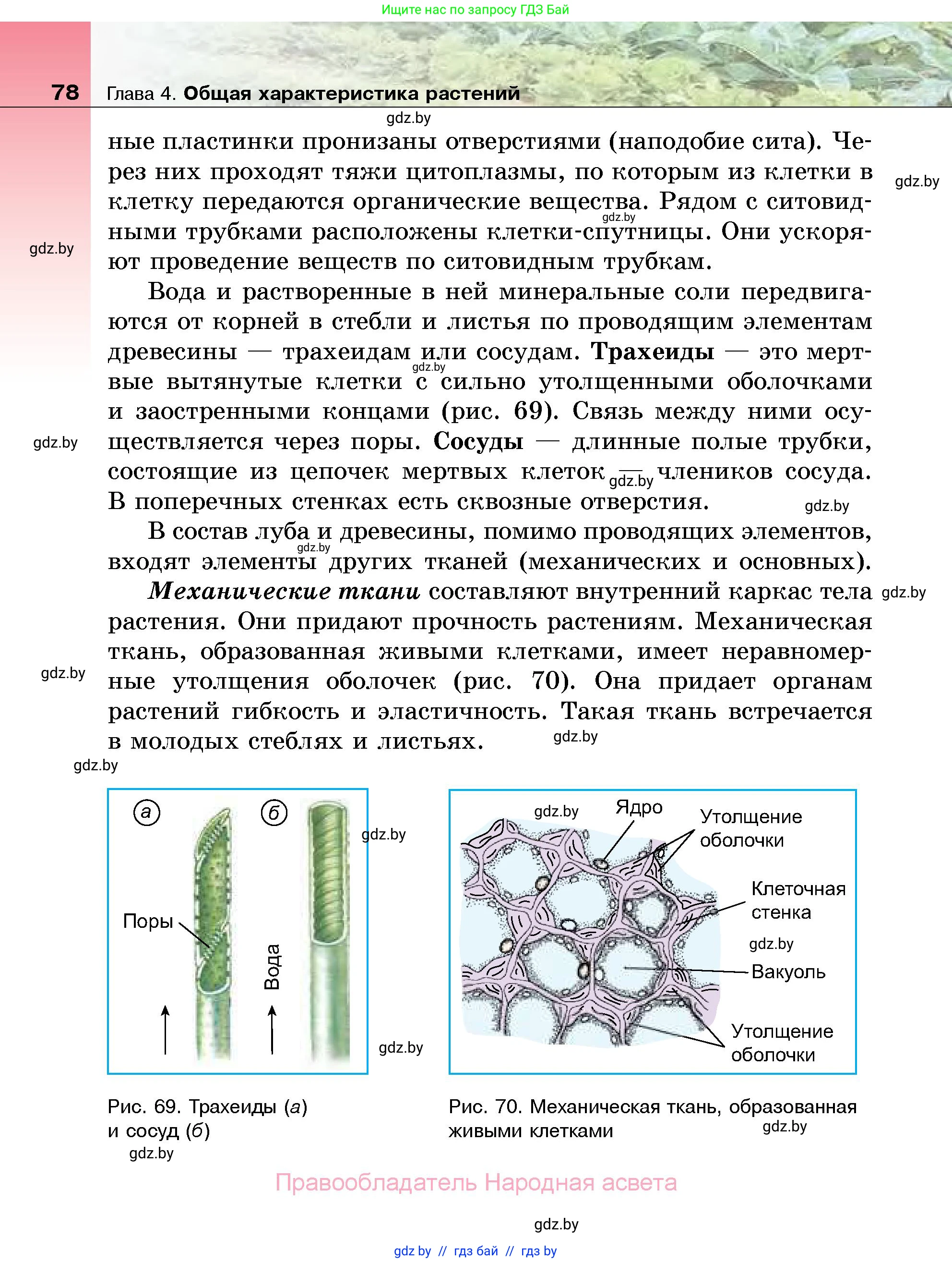 Биология, 7 класс Учебник, автор: Лисов Николай Дмитриевич, издательство Народная асвета, Минск, 2022, зелёного цвета, страница 78