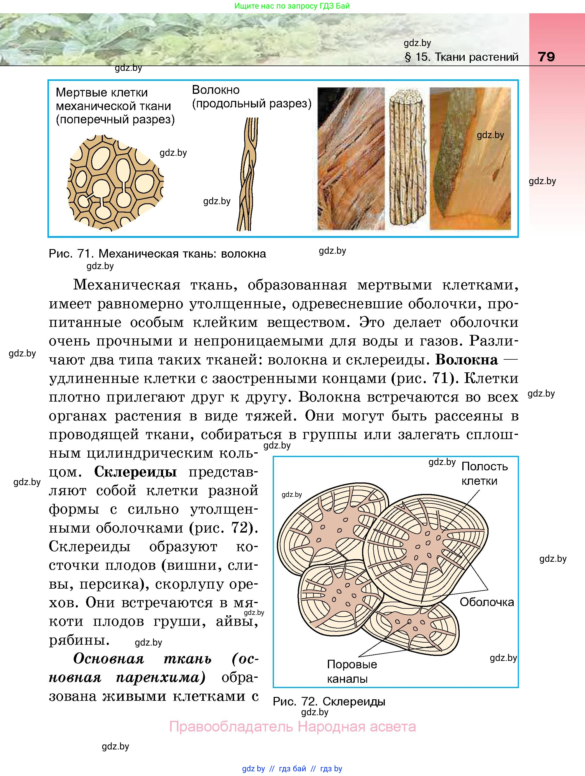 Биология, 7 класс Учебник, автор: Лисов Николай Дмитриевич, издательство Народная асвета, Минск, 2022, зелёного цвета, страница 79