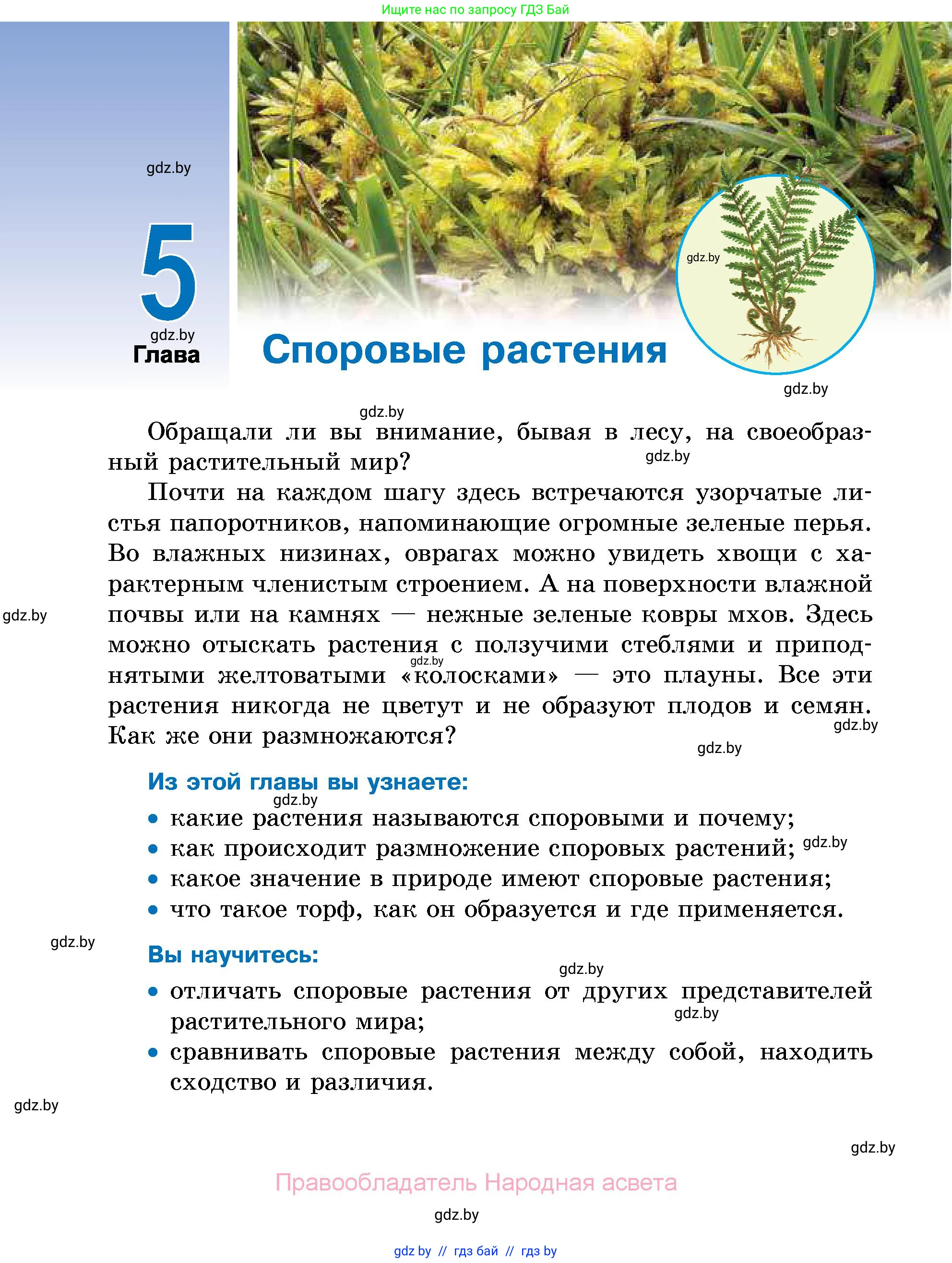 Биология, 7 класс Учебник, автор: Лисов Николай Дмитриевич, издательство Народная асвета, Минск, 2022, зелёного цвета, страница 88