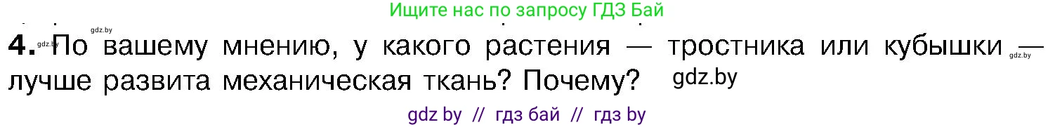 Биология, 7 класс Учебник, автор: Лисов Николай Дмитриевич, издательство Народная асвета, Минск, 2022, зелёного цвета, страница 213, номер 4, Условие