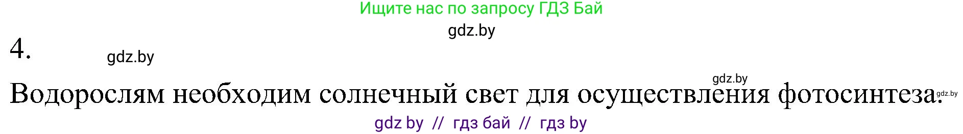 Биология, 7 класс Учебник, автор: Лисов Николай Дмитриевич, издательство Народная асвета, Минск, 2022, зелёного цвета, страница 41, номер 4, Решение