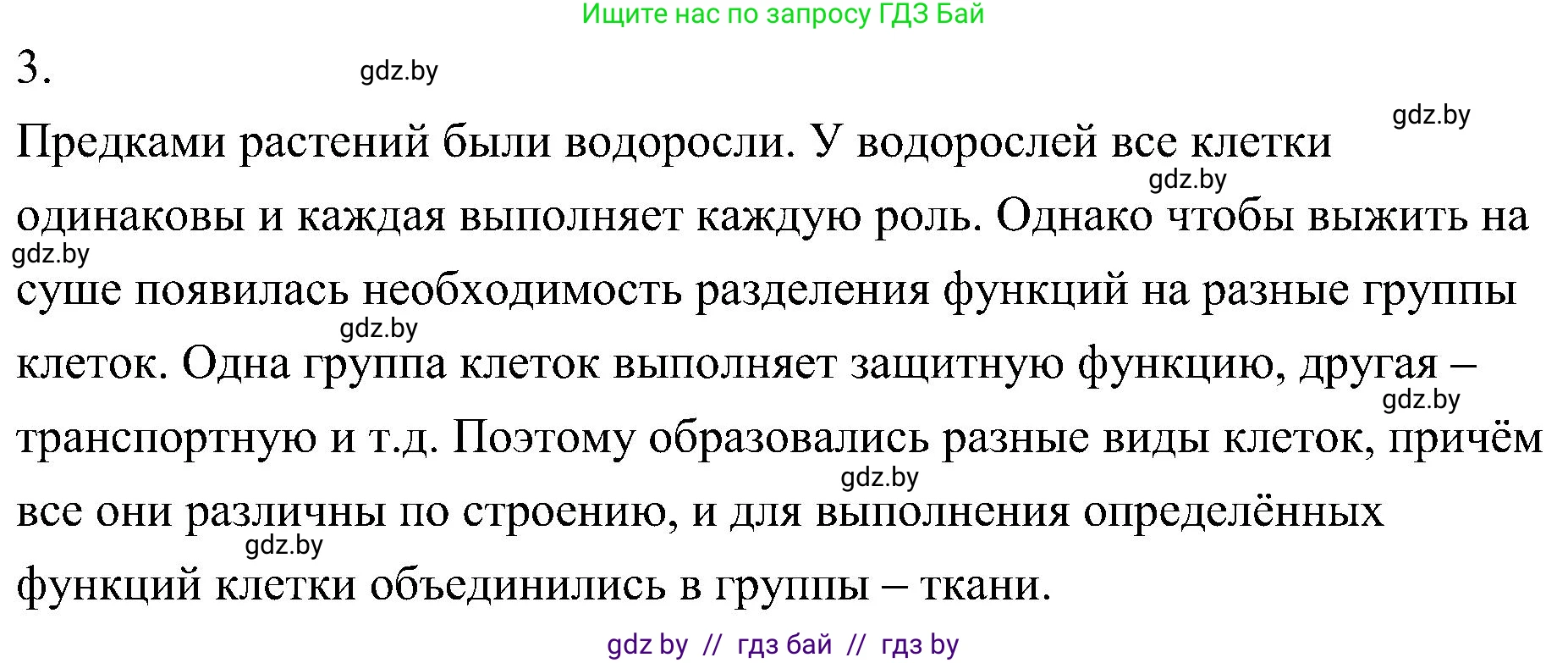 Биология, 7 класс Учебник, автор: Лисов Николай Дмитриевич, издательство Народная асвета, Минск, 2022, зелёного цвета, страница 81, номер 3, Решение