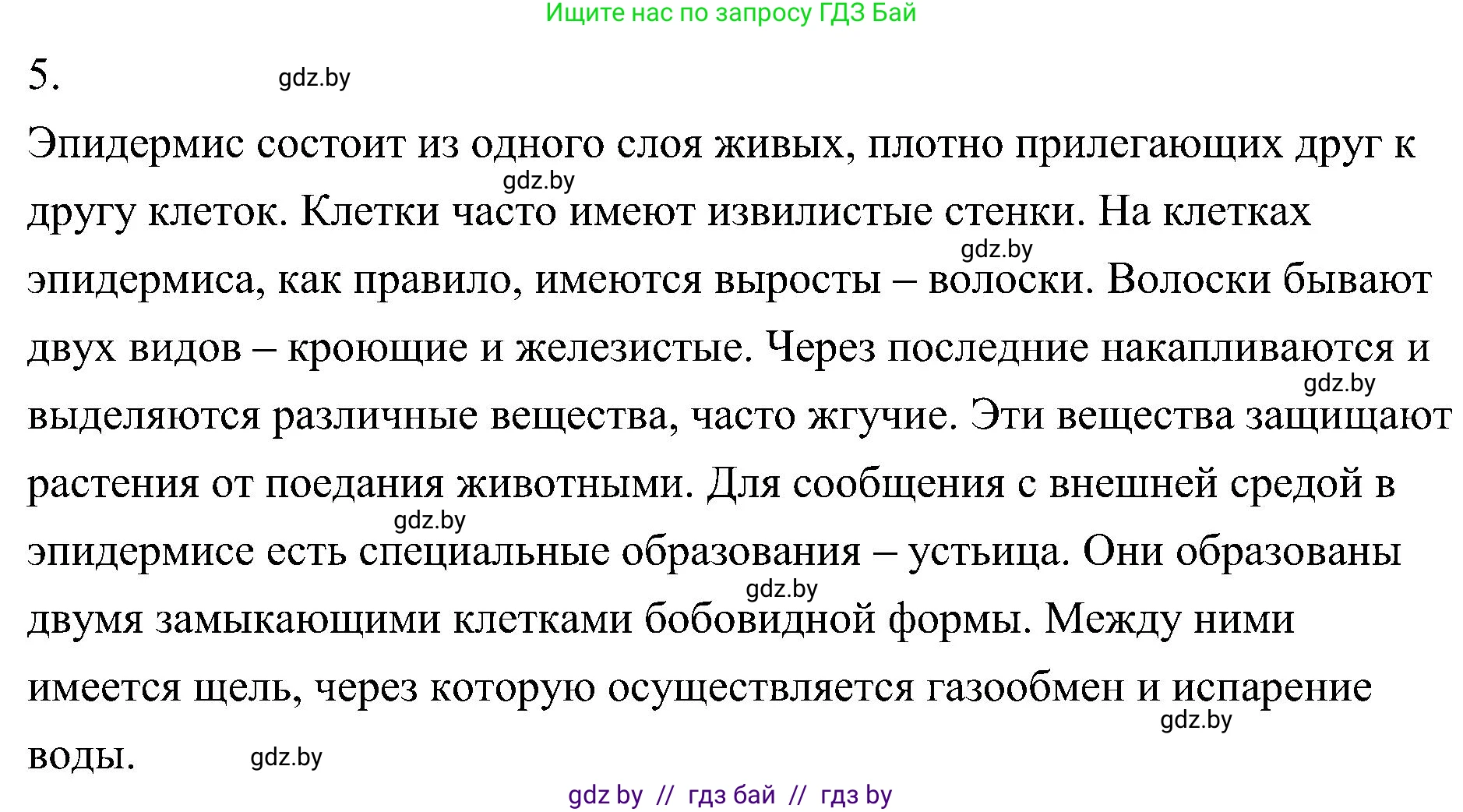 Биология, 7 класс Учебник, автор: Лисов Николай Дмитриевич, издательство Народная асвета, Минск, 2022, зелёного цвета, страница 81, номер 5, Решение