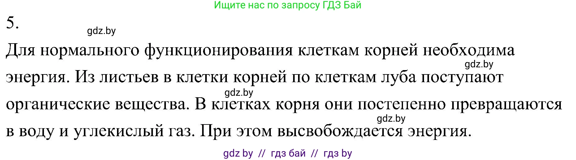Биология, 7 класс Учебник, автор: Лисов Николай Дмитриевич, издательство Народная асвета, Минск, 2022, зелёного цвета, страница 129, номер 5, Решение