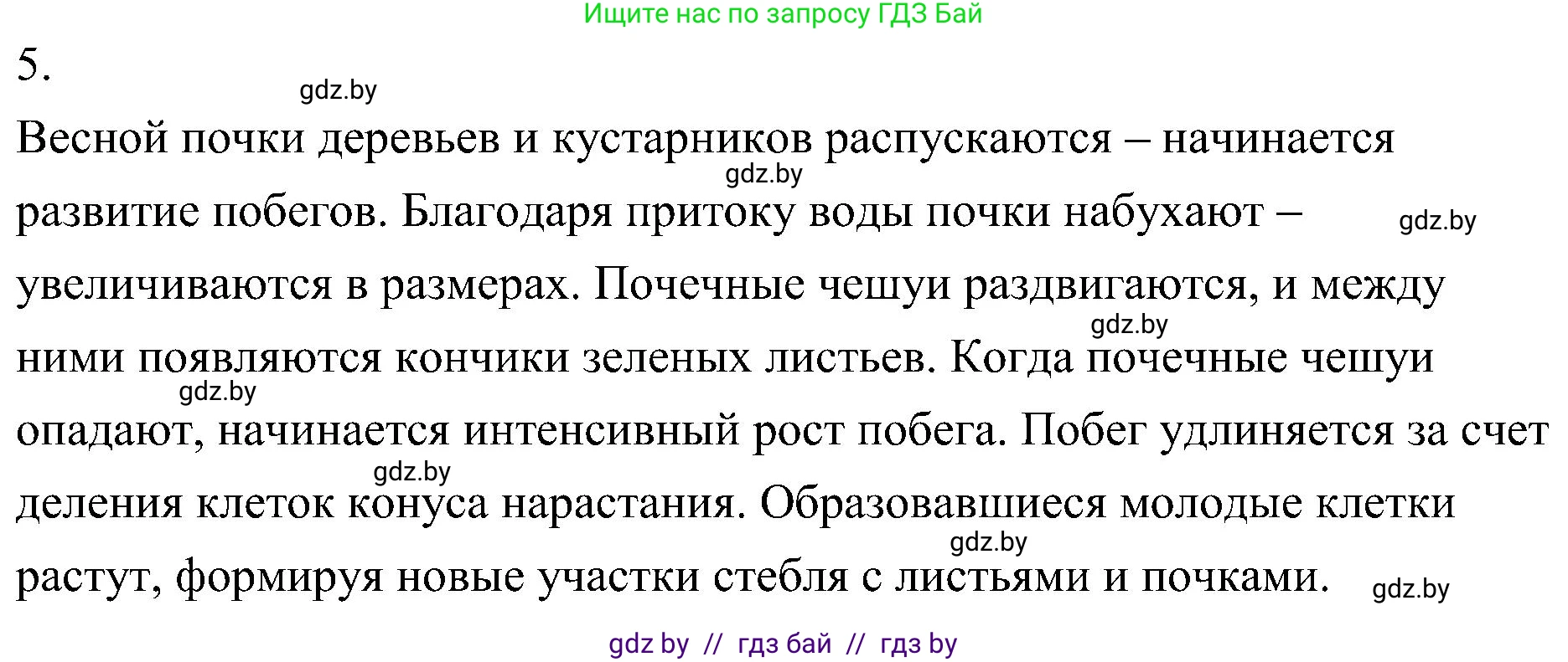 Биология, 7 класс Учебник, автор: Лисов Николай Дмитриевич, издательство Народная асвета, Минск, 2022, зелёного цвета, страница 137, номер 5, Решение