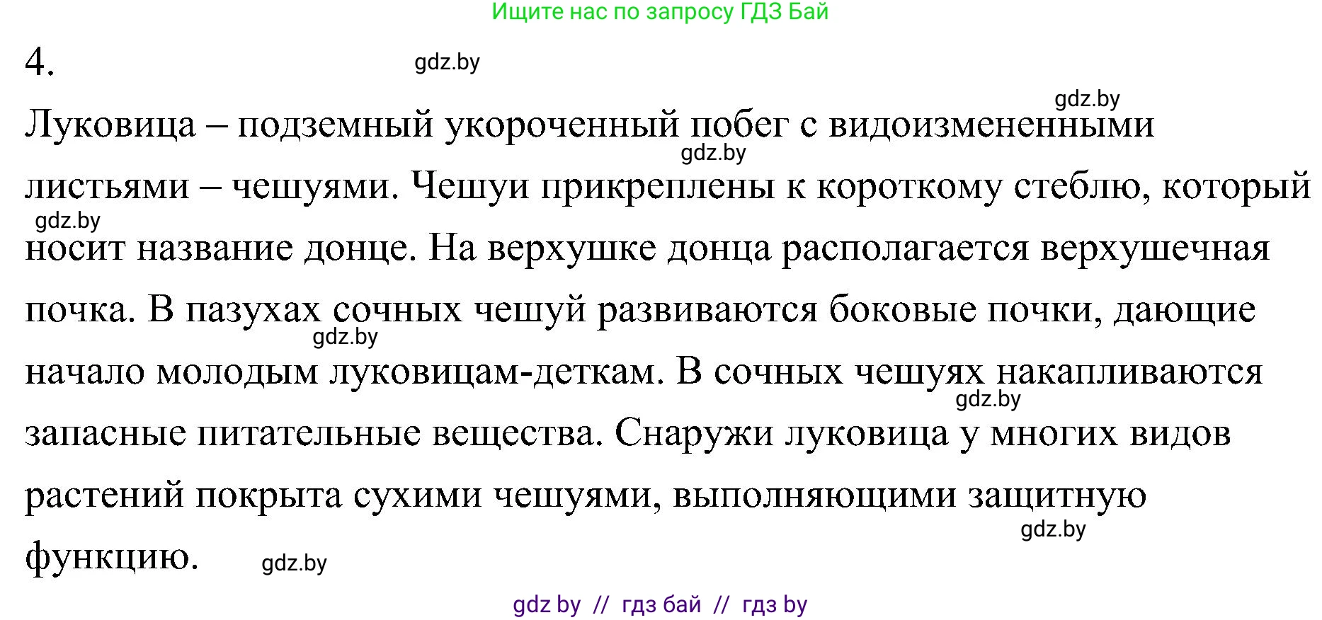 Биология, 7 класс Учебник, автор: Лисов Николай Дмитриевич, издательство Народная асвета, Минск, 2022, зелёного цвета, страница 158, номер 4, Решение
