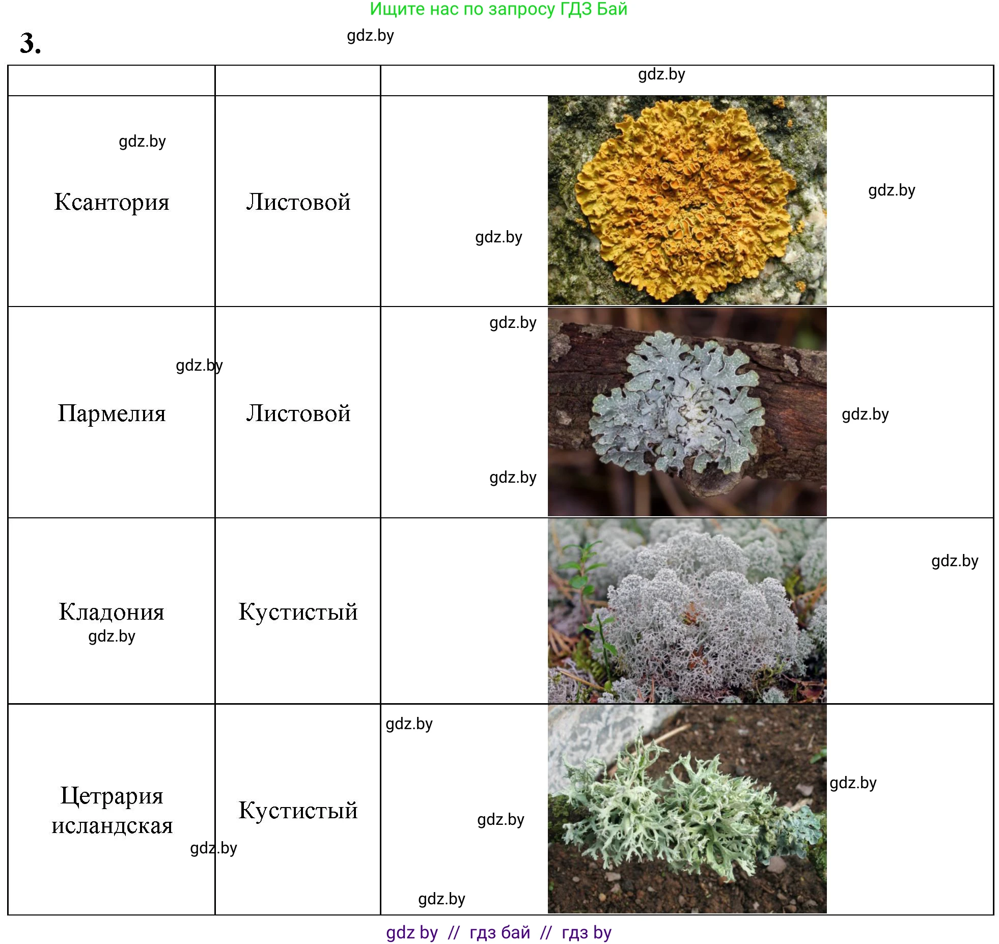 Биология, 7 класс тетрадь для экскусрий, лабораторных и практических работ, автор: Рогожников Олег Николаевич, издательство Сэр-Вит, Минск, 2022, голубого цвета, страница 12, номер 3, Решение