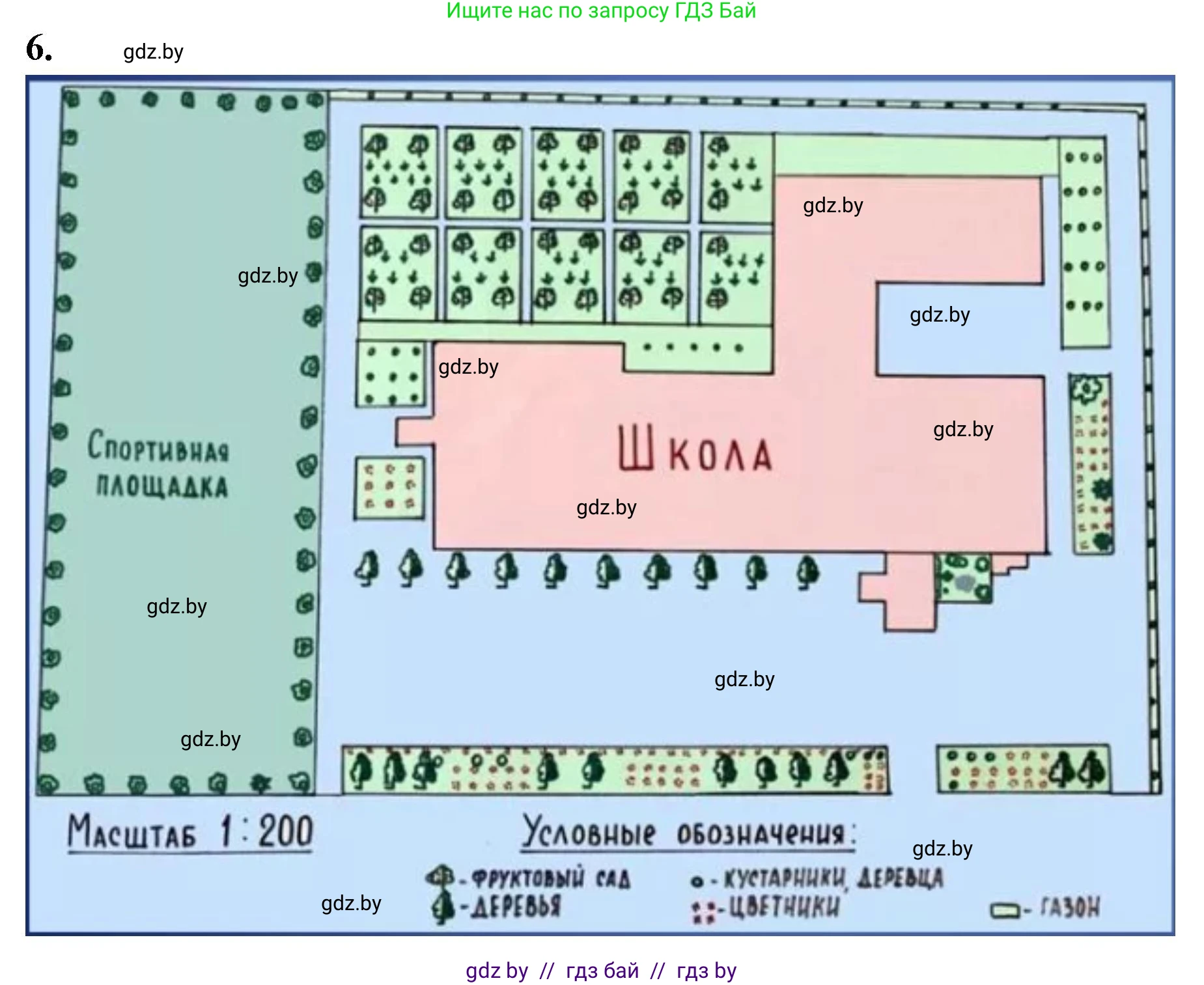 Биология, 7 класс тетрадь для экскусрий, лабораторных и практических работ, автор: Рогожников Олег Николаевич, издательство Сэр-Вит, Минск, 2022, голубого цвета, страница 50, номер 6, Решение
