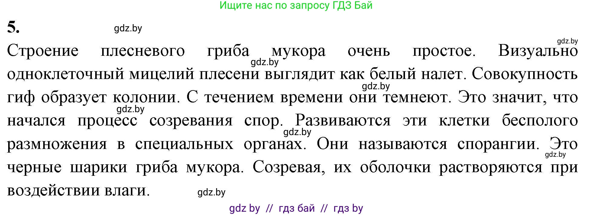 Биология, 7 класс тетрадь для экскусрий, лабораторных и практических работ, автор: Рогожников Олег Николаевич, издательство Сэр-Вит, Минск, 2022, голубого цвета, страница 11, номер 5, Решение