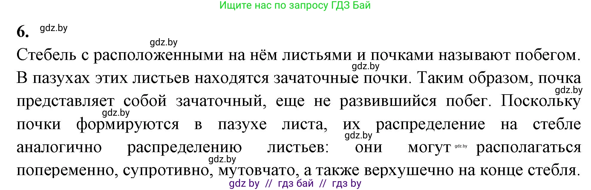Биология, 7 класс тетрадь для экскусрий, лабораторных и практических работ, автор: Рогожников Олег Николаевич, издательство Сэр-Вит, Минск, 2022, голубого цвета, страница 28, номер 6, Решение