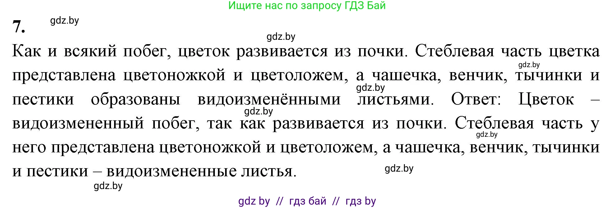 Биология, 7 класс тетрадь для экскусрий, лабораторных и практических работ, автор: Рогожников Олег Николаевич, издательство Сэр-Вит, Минск, 2022, голубого цвета, страница 36, номер 7, Решение