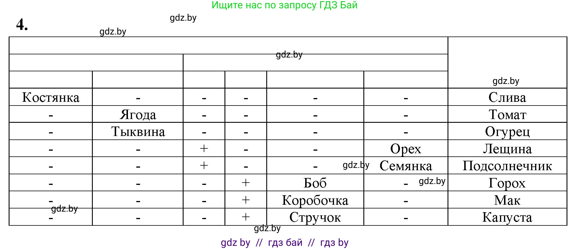 Биология, 7 класс тетрадь для экскусрий, лабораторных и практических работ, автор: Рогожников Олег Николаевич, издательство Сэр-Вит, Минск, 2022, голубого цвета, страница 40, номер 4, Решение