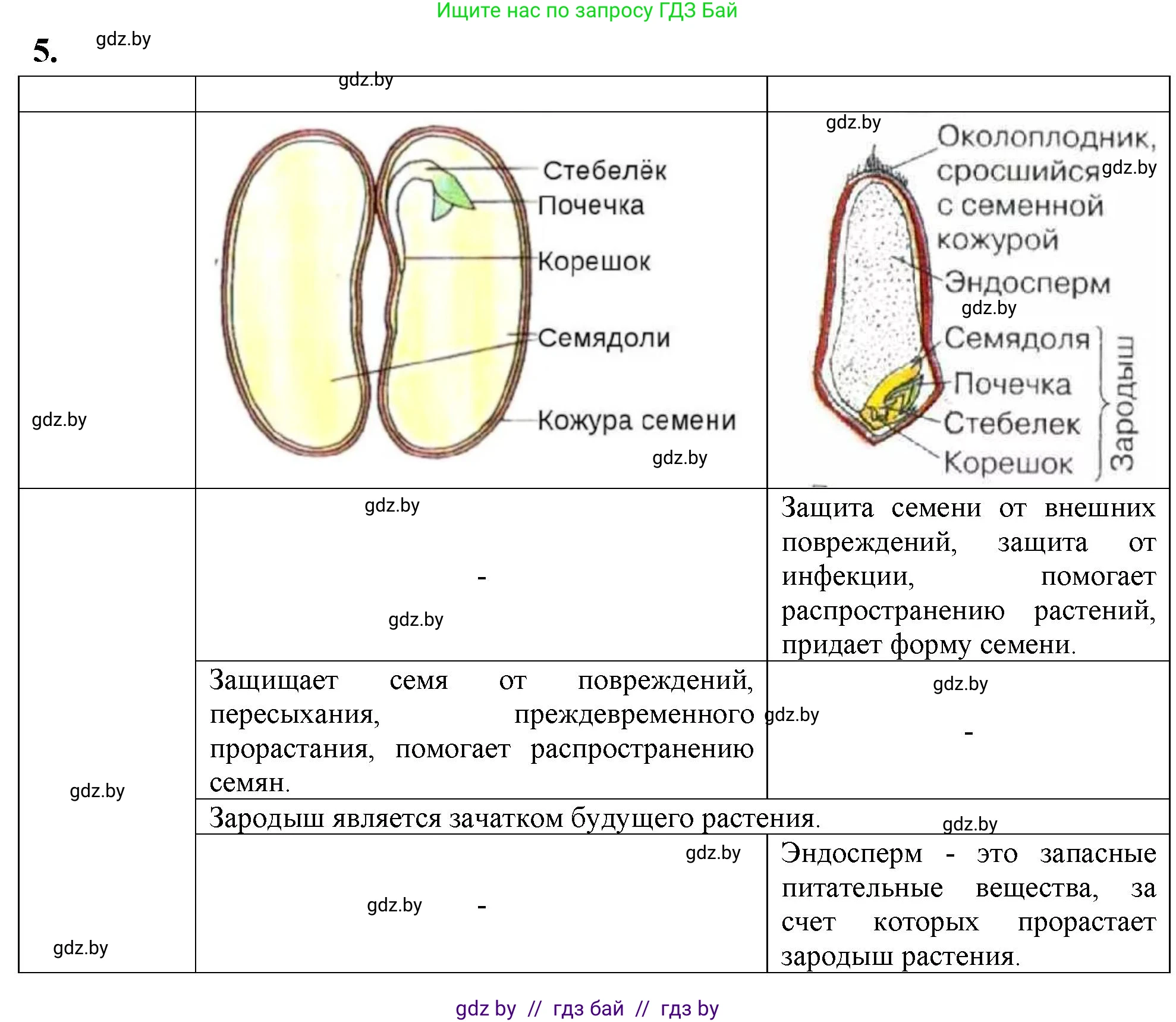 Биология, 7 класс тетрадь для экскусрий, лабораторных и практических работ, автор: Рогожников Олег Николаевич, издательство Сэр-Вит, Минск, 2022, голубого цвета, страница 43, номер 5, Решение
