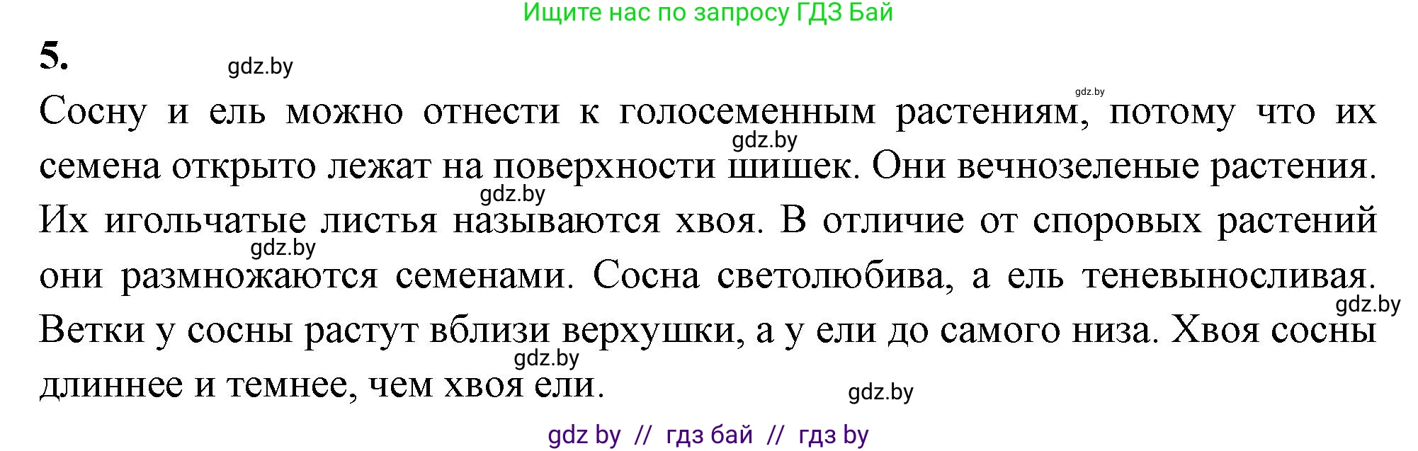 Биология, 7 класс тетрадь для экскусрий, лабораторных и практических работ, автор: Рогожников Олег Николаевич, издательство Сэр-Вит, Минск, 2022, голубого цвета, страница 20, номер 5, Решение
