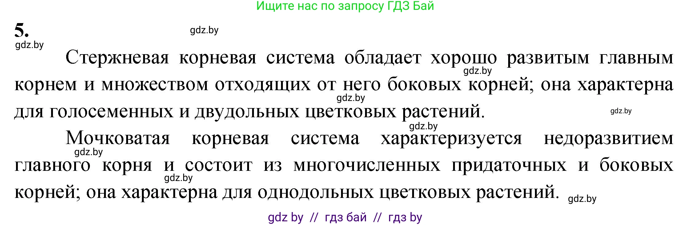 Биология, 7 класс тетрадь для экскусрий, лабораторных и практических работ, автор: Рогожников Олег Николаевич, издательство Сэр-Вит, Минск, 2022, голубого цвета, страница 22, номер 5, Решение