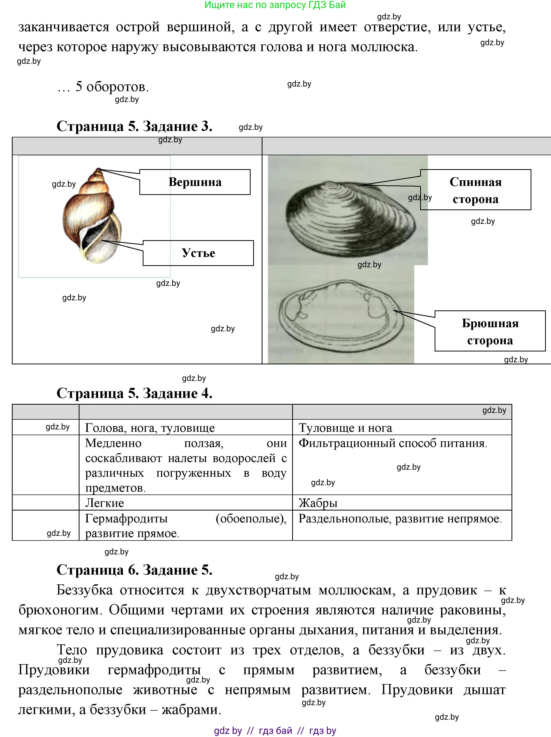 Биология, 8 класс Тетрадь для лабораторных и практических работ, авторы: Бедарик Ирина Геннадьевна, Бедарик Александр Евгеньевич, издательство Аверсэв, Минск, 2024, жёлтого цвета, страница 4, Решение (продолжение 2)
