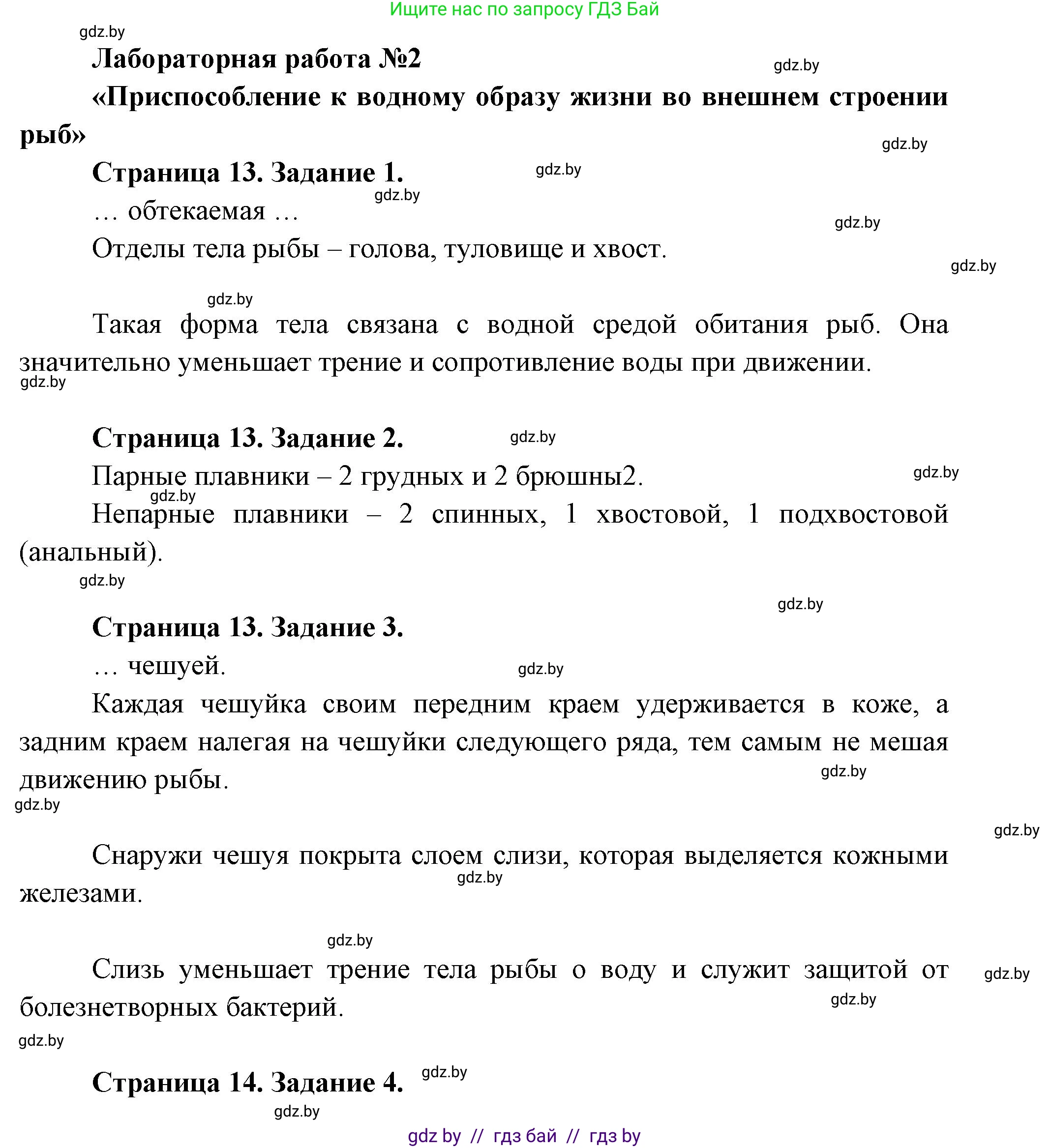 Биология, 8 класс Тетрадь для лабораторных и практических работ, авторы: Бедарик Ирина Геннадьевна, Бедарик Александр Евгеньевич, издательство Аверсэв, Минск, 2024, жёлтого цвета, страница 13, Решение