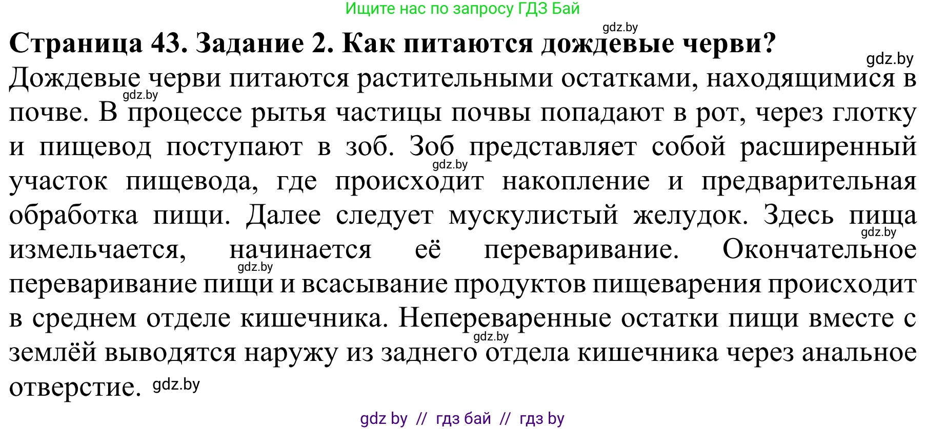 Биология, 8 класс Учебник, авторы: Бедарик Ирина Геннадьевна, Бедарик Александр Евгеньевич, Иванов Владимир Николаевич, издательство Адукацыя i выхаванне, Минск, 2023, зелёного цвета, страница 43, Решение