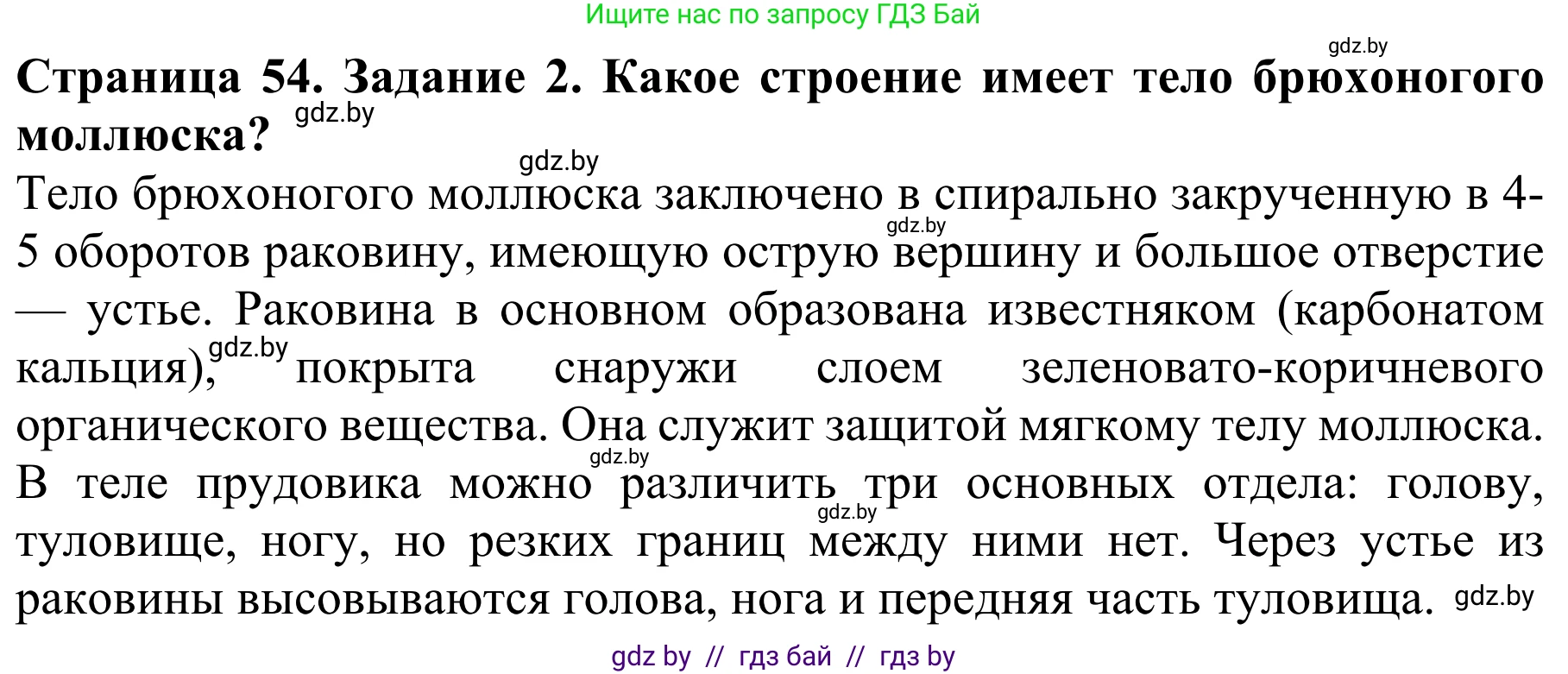 Биология, 8 класс Учебник, авторы: Бедарик Ирина Геннадьевна, Бедарик Александр Евгеньевич, Иванов Владимир Николаевич, издательство Адукацыя i выхаванне, Минск, 2023, зелёного цвета, страница 54, Решение