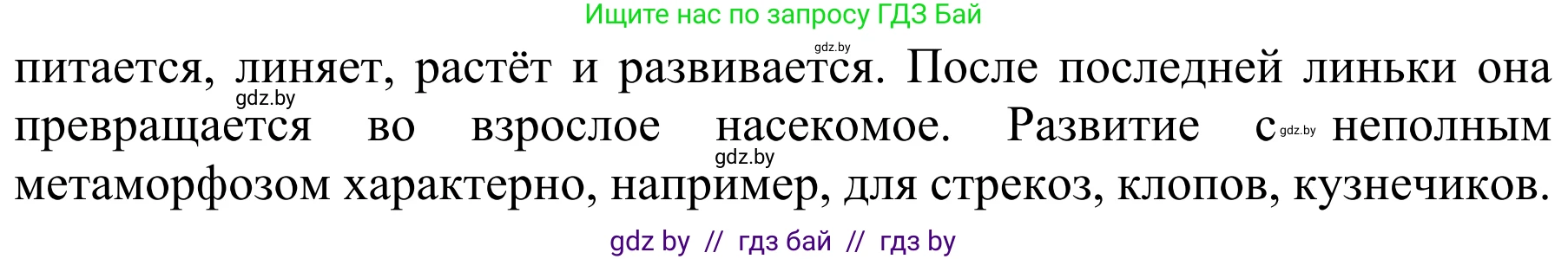 Биология, 8 класс Учебник, авторы: Бедарик Ирина Геннадьевна, Бедарик Александр Евгеньевич, Иванов Владимир Николаевич, издательство Адукацыя i выхаванне, Минск, 2023, зелёного цвета, страница 89, Решение (продолжение 2)