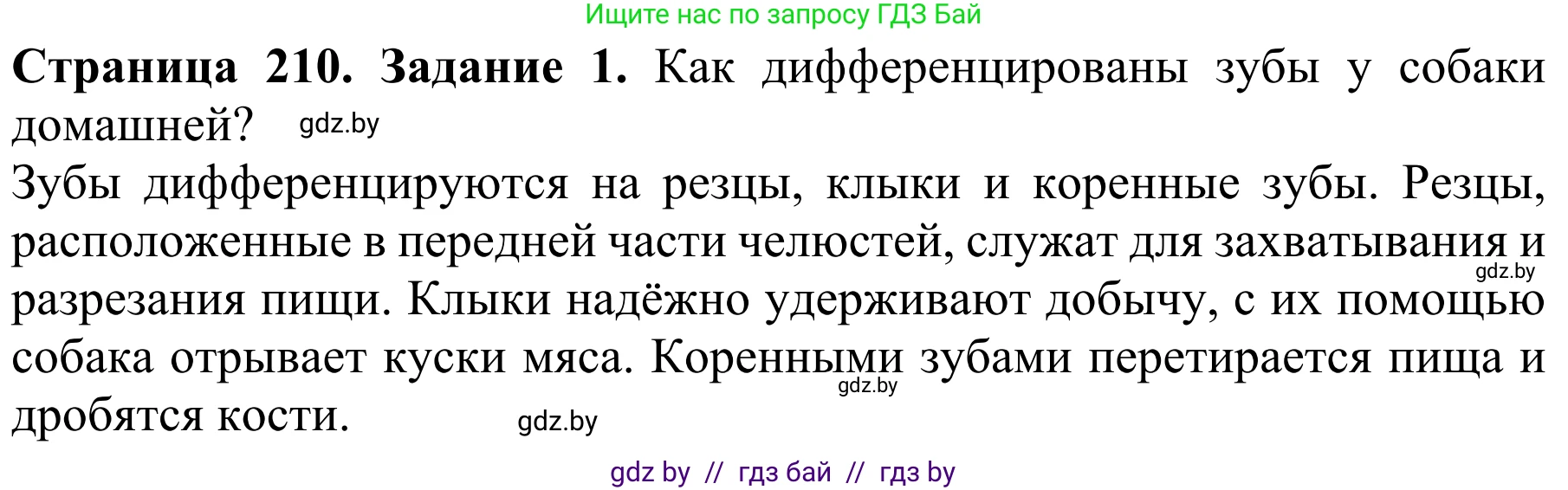 Биология, 8 класс Учебник, авторы: Бедарик Ирина Геннадьевна, Бедарик Александр Евгеньевич, Иванов Владимир Николаевич, издательство Адукацыя i выхаванне, Минск, 2023, зелёного цвета, страница 210, Решение