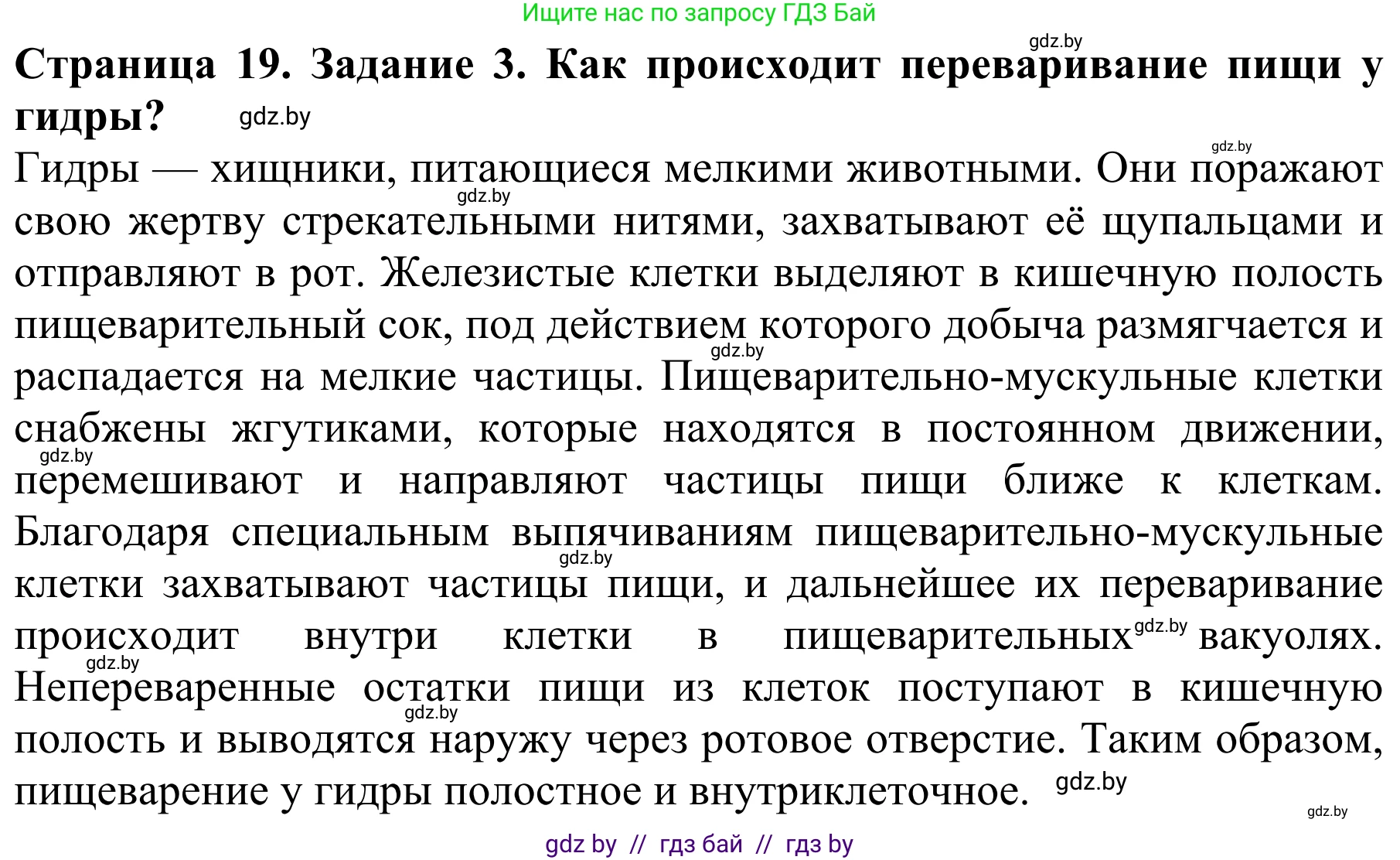 Биология, 8 класс Учебник, авторы: Бедарик Ирина Геннадьевна, Бедарик Александр Евгеньевич, Иванов Владимир Николаевич, издательство Адукацыя i выхаванне, Минск, 2023, зелёного цвета, страница 19, номер 3, Решение