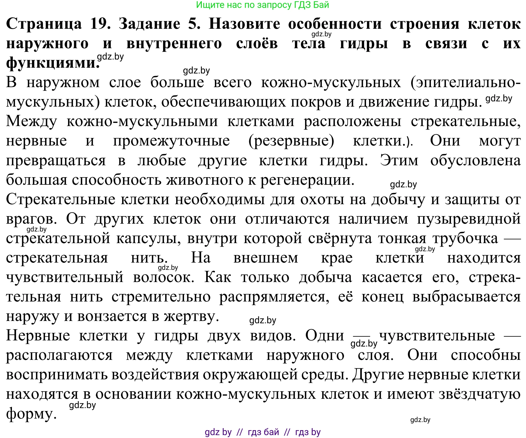 Биология, 8 класс Учебник, авторы: Бедарик Ирина Геннадьевна, Бедарик Александр Евгеньевич, Иванов Владимир Николаевич, издательство Адукацыя i выхаванне, Минск, 2023, зелёного цвета, страница 19, номер 5, Решение