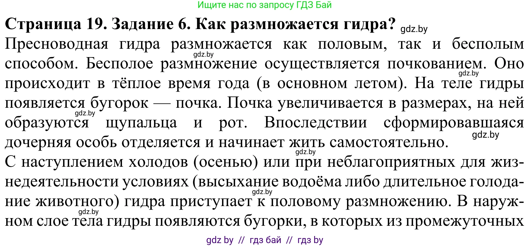 Биология, 8 класс Учебник, авторы: Бедарик Ирина Геннадьевна, Бедарик Александр Евгеньевич, Иванов Владимир Николаевич, издательство Адукацыя i выхаванне, Минск, 2023, зелёного цвета, страница 19, номер 6, Решение