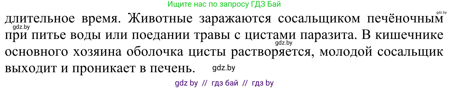 Биология, 8 класс Учебник, авторы: Бедарик Ирина Геннадьевна, Бедарик Александр Евгеньевич, Иванов Владимир Николаевич, издательство Адукацыя i выхаванне, Минск, 2023, зелёного цвета, страница 31, номер 3, Решение (продолжение 2)