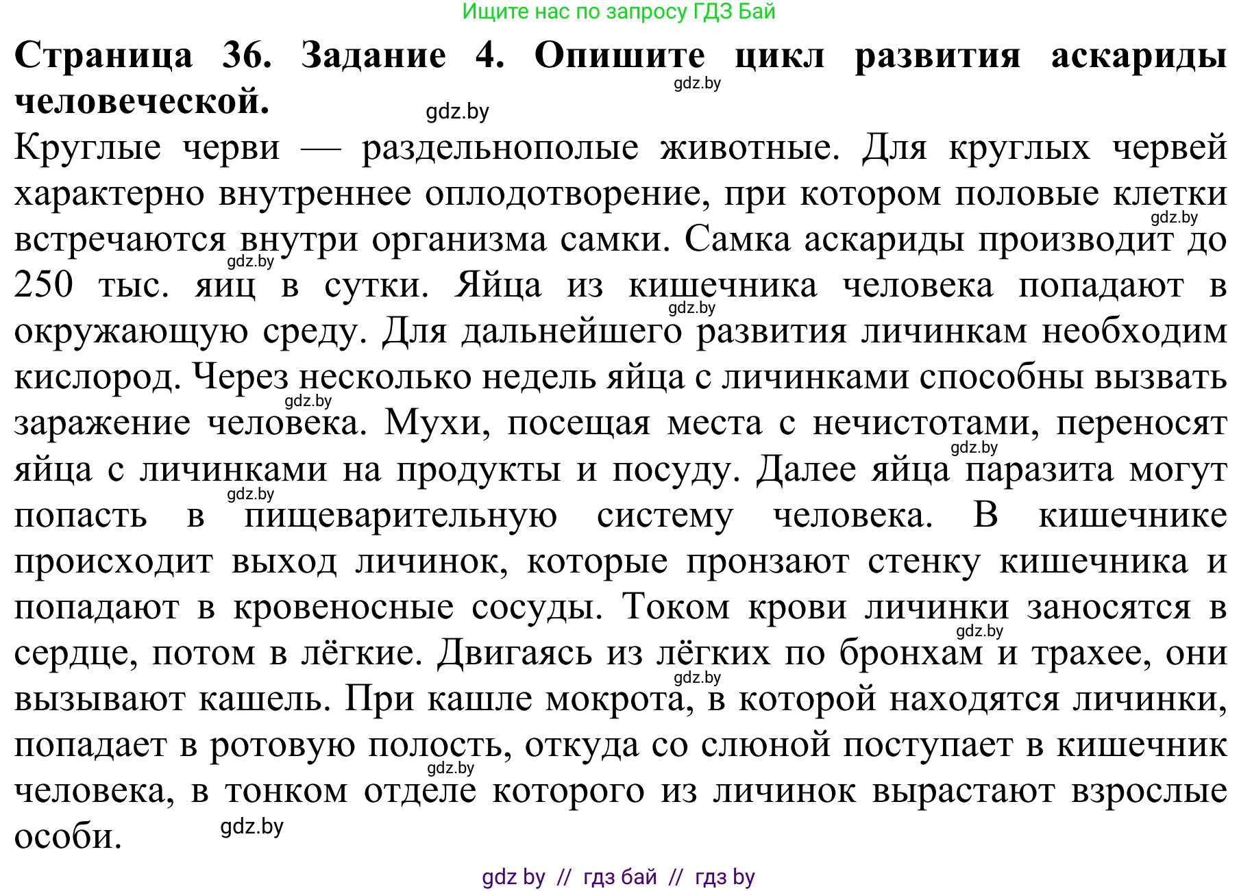 Биология, 8 класс Учебник, авторы: Бедарик Ирина Геннадьевна, Бедарик Александр Евгеньевич, Иванов Владимир Николаевич, издательство Адукацыя i выхаванне, Минск, 2023, зелёного цвета, страница 36, номер 4, Решение