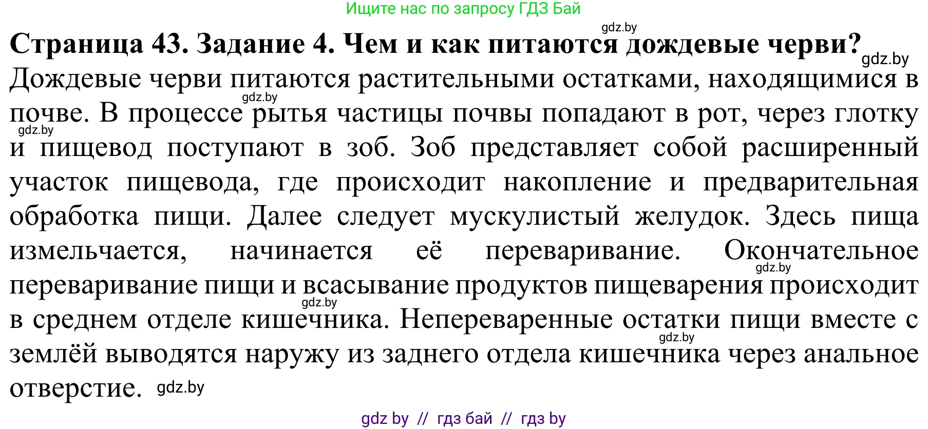 Биология, 8 класс Учебник, авторы: Бедарик Ирина Геннадьевна, Бедарик Александр Евгеньевич, Иванов Владимир Николаевич, издательство Адукацыя i выхаванне, Минск, 2023, зелёного цвета, страница 43, номер 4, Решение