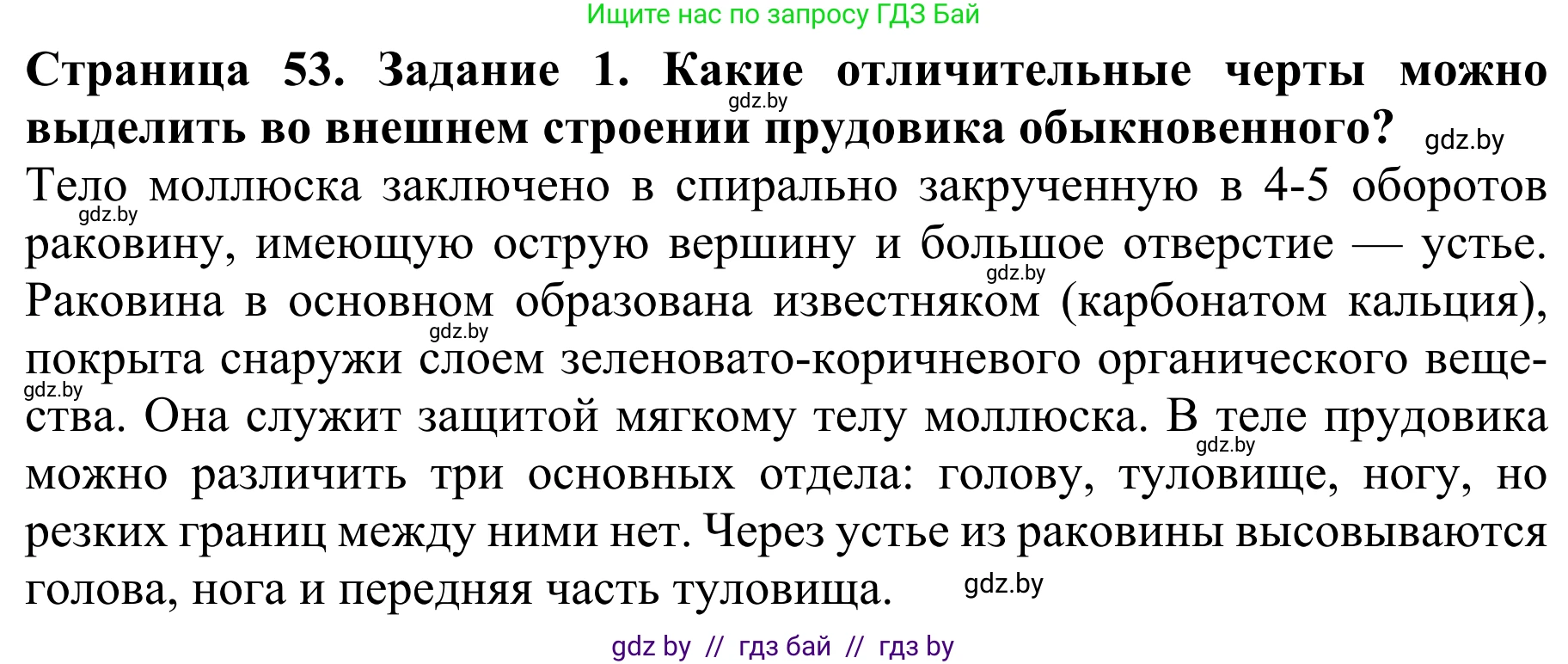 Биология, 8 класс Учебник, авторы: Бедарик Ирина Геннадьевна, Бедарик Александр Евгеньевич, Иванов Владимир Николаевич, издательство Адукацыя i выхаванне, Минск, 2023, зелёного цвета, страница 53, номер 1, Решение