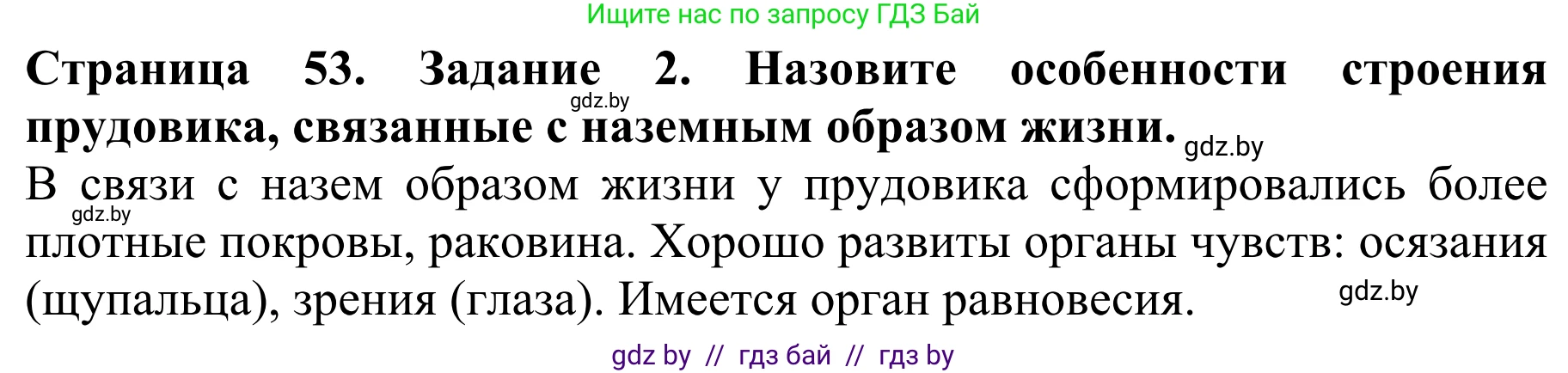 Биология, 8 класс Учебник, авторы: Бедарик Ирина Геннадьевна, Бедарик Александр Евгеньевич, Иванов Владимир Николаевич, издательство Адукацыя i выхаванне, Минск, 2023, зелёного цвета, страница 53, номер 2, Решение