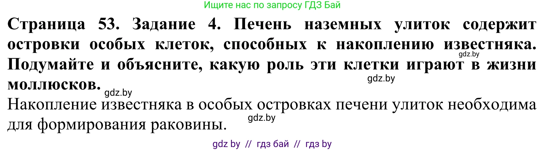 Биология, 8 класс Учебник, авторы: Бедарик Ирина Геннадьевна, Бедарик Александр Евгеньевич, Иванов Владимир Николаевич, издательство Адукацыя i выхаванне, Минск, 2023, зелёного цвета, страница 53, номер 4, Решение