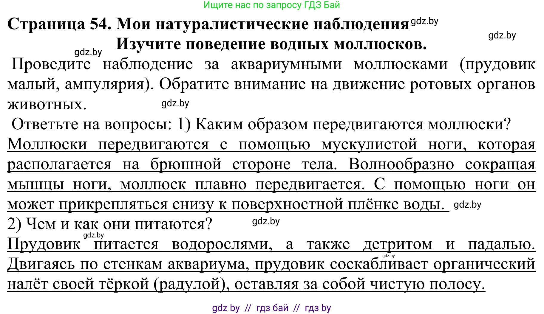 Биология, 8 класс Учебник, авторы: Бедарик Ирина Геннадьевна, Бедарик Александр Евгеньевич, Иванов Владимир Николаевич, издательство Адукацыя i выхаванне, Минск, 2023, зелёного цвета, страница 54, Решение