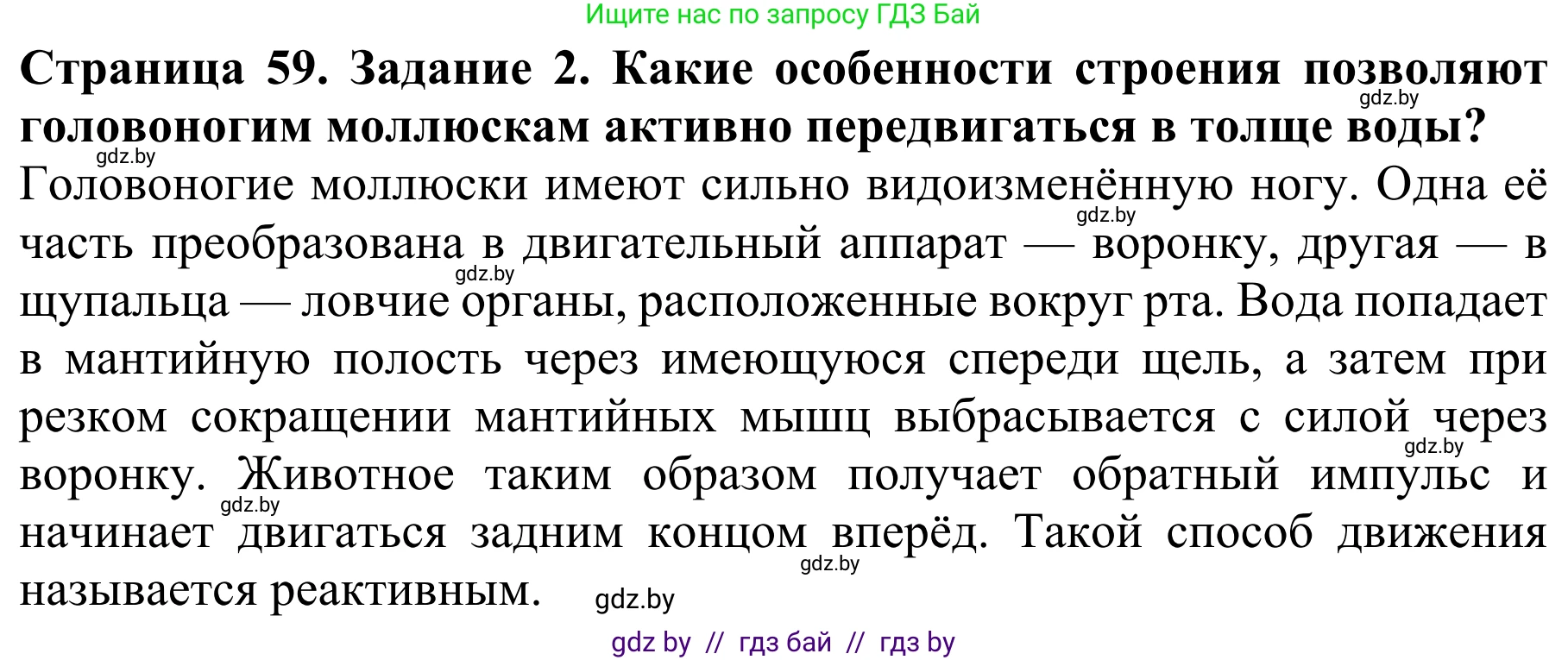 Биология, 8 класс Учебник, авторы: Бедарик Ирина Геннадьевна, Бедарик Александр Евгеньевич, Иванов Владимир Николаевич, издательство Адукацыя i выхаванне, Минск, 2023, зелёного цвета, страница 59, номер 2, Решение
