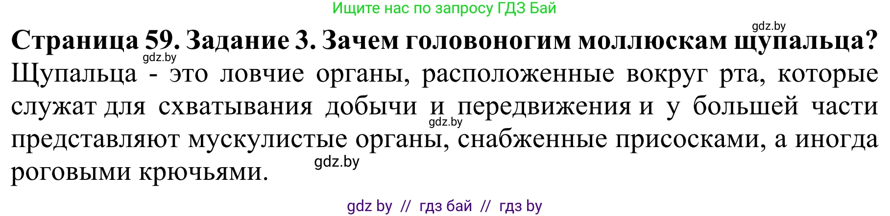 Биология, 8 класс Учебник, авторы: Бедарик Ирина Геннадьевна, Бедарик Александр Евгеньевич, Иванов Владимир Николаевич, издательство Адукацыя i выхаванне, Минск, 2023, зелёного цвета, страница 59, номер 3, Решение