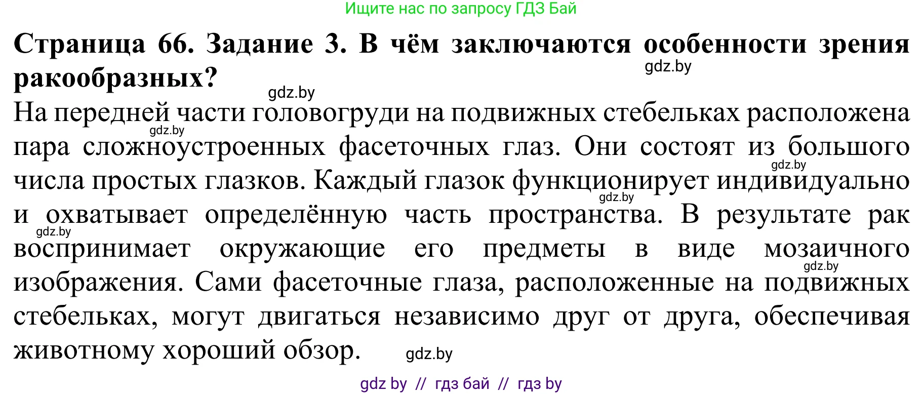 Биология, 8 класс Учебник, авторы: Бедарик Ирина Геннадьевна, Бедарик Александр Евгеньевич, Иванов Владимир Николаевич, издательство Адукацыя i выхаванне, Минск, 2023, зелёного цвета, страница 66, номер 3, Решение
