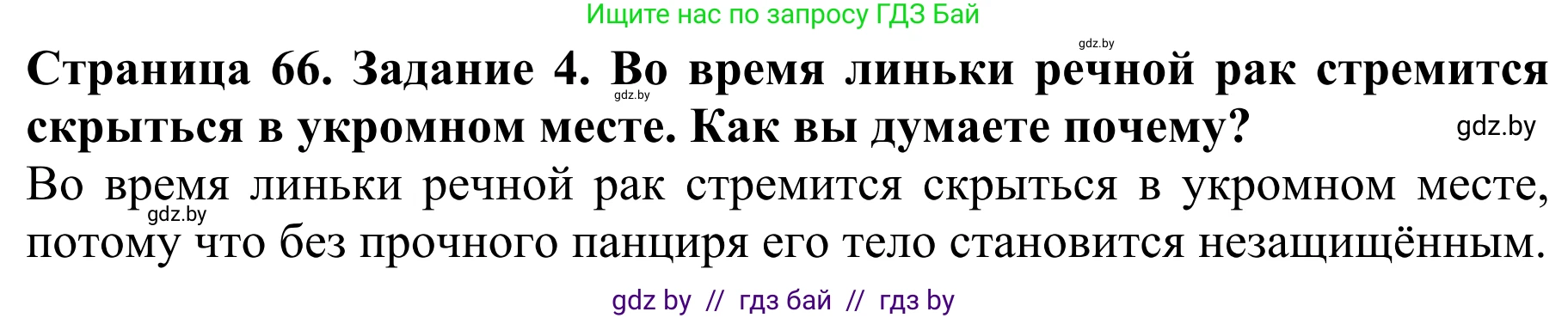 Биология, 8 класс Учебник, авторы: Бедарик Ирина Геннадьевна, Бедарик Александр Евгеньевич, Иванов Владимир Николаевич, издательство Адукацыя i выхаванне, Минск, 2023, зелёного цвета, страница 66, номер 4, Решение