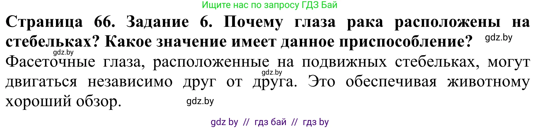 Биология, 8 класс Учебник, авторы: Бедарик Ирина Геннадьевна, Бедарик Александр Евгеньевич, Иванов Владимир Николаевич, издательство Адукацыя i выхаванне, Минск, 2023, зелёного цвета, страница 66, номер 6, Решение