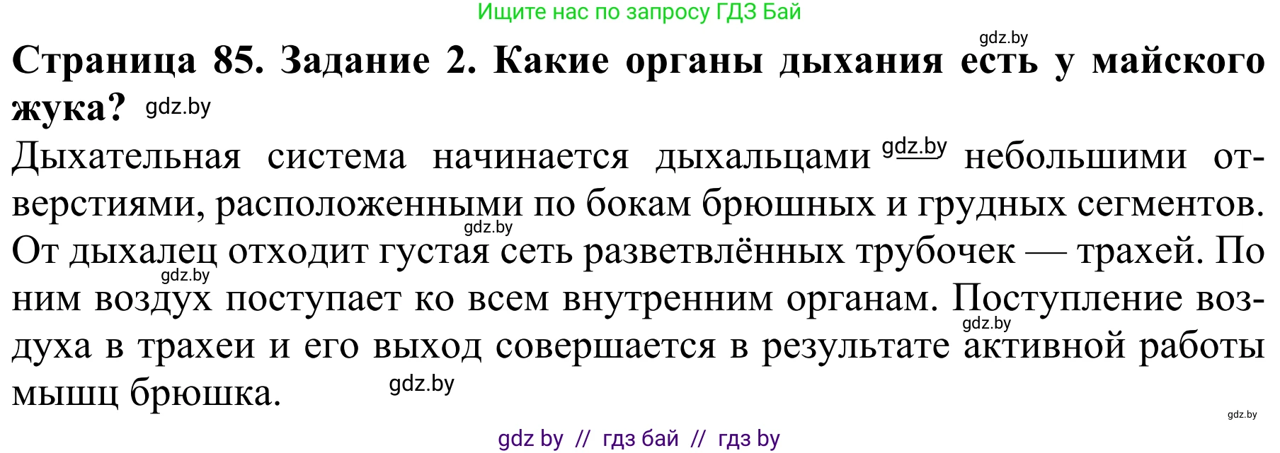Биология, 8 класс Учебник, авторы: Бедарик Ирина Геннадьевна, Бедарик Александр Евгеньевич, Иванов Владимир Николаевич, издательство Адукацыя i выхаванне, Минск, 2023, зелёного цвета, страница 85, номер 2, Решение